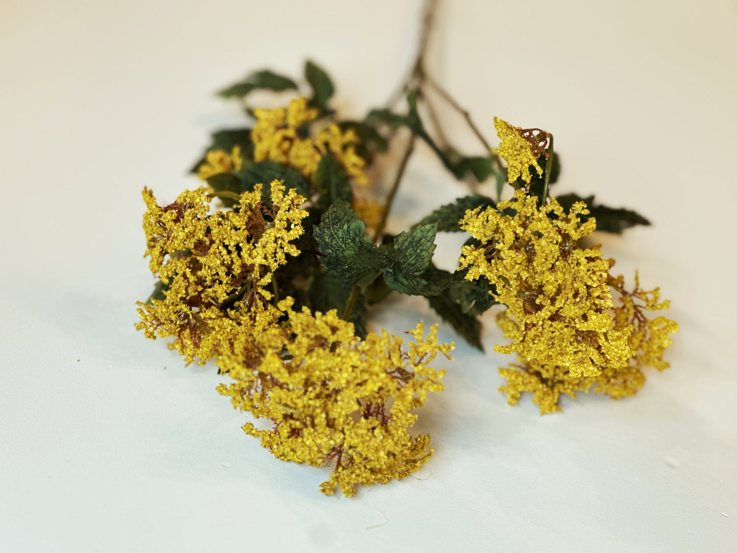 Queen Anne's Lace Spray Mustard