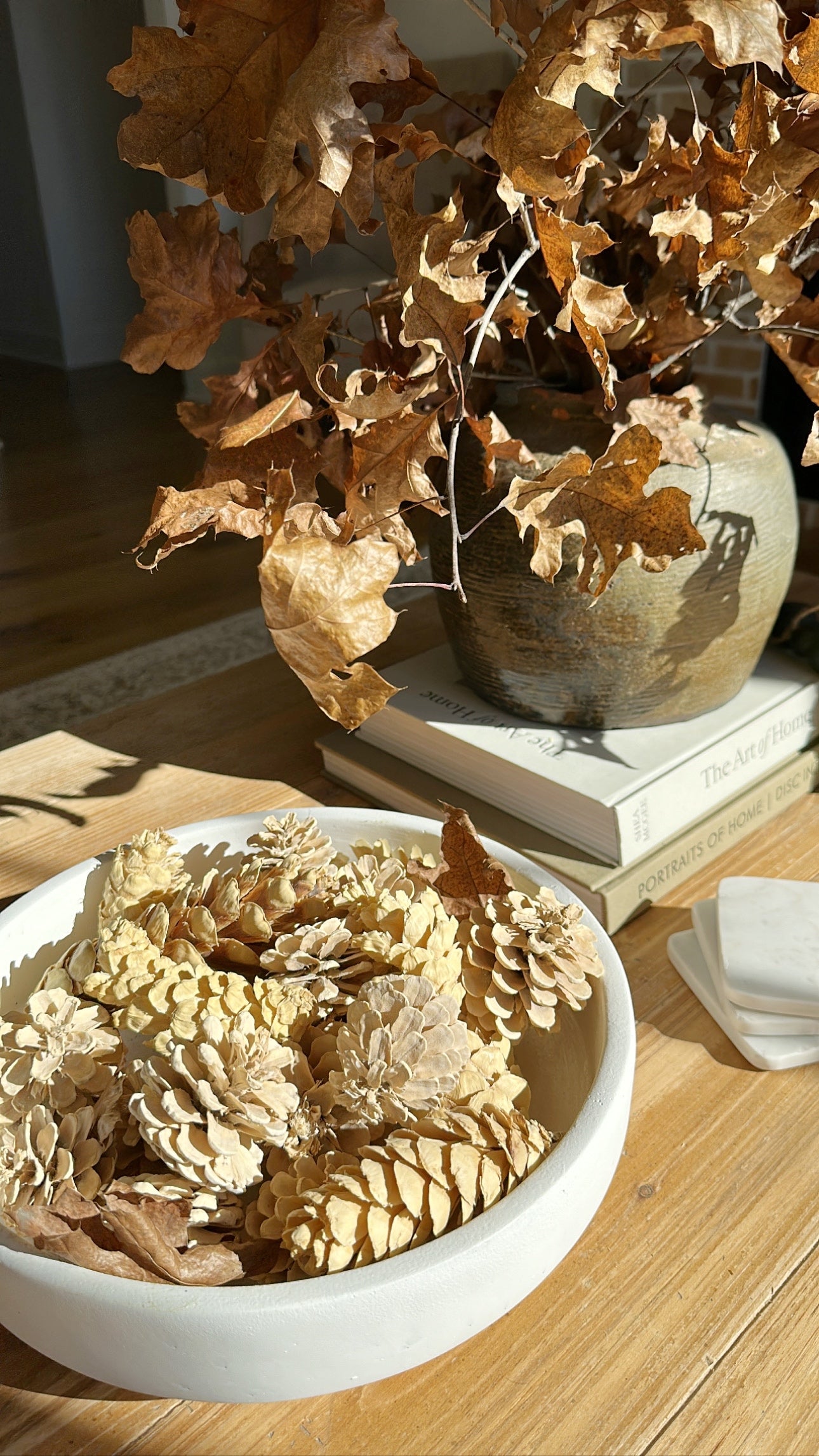 Dried Bleached Pinecones - Filler