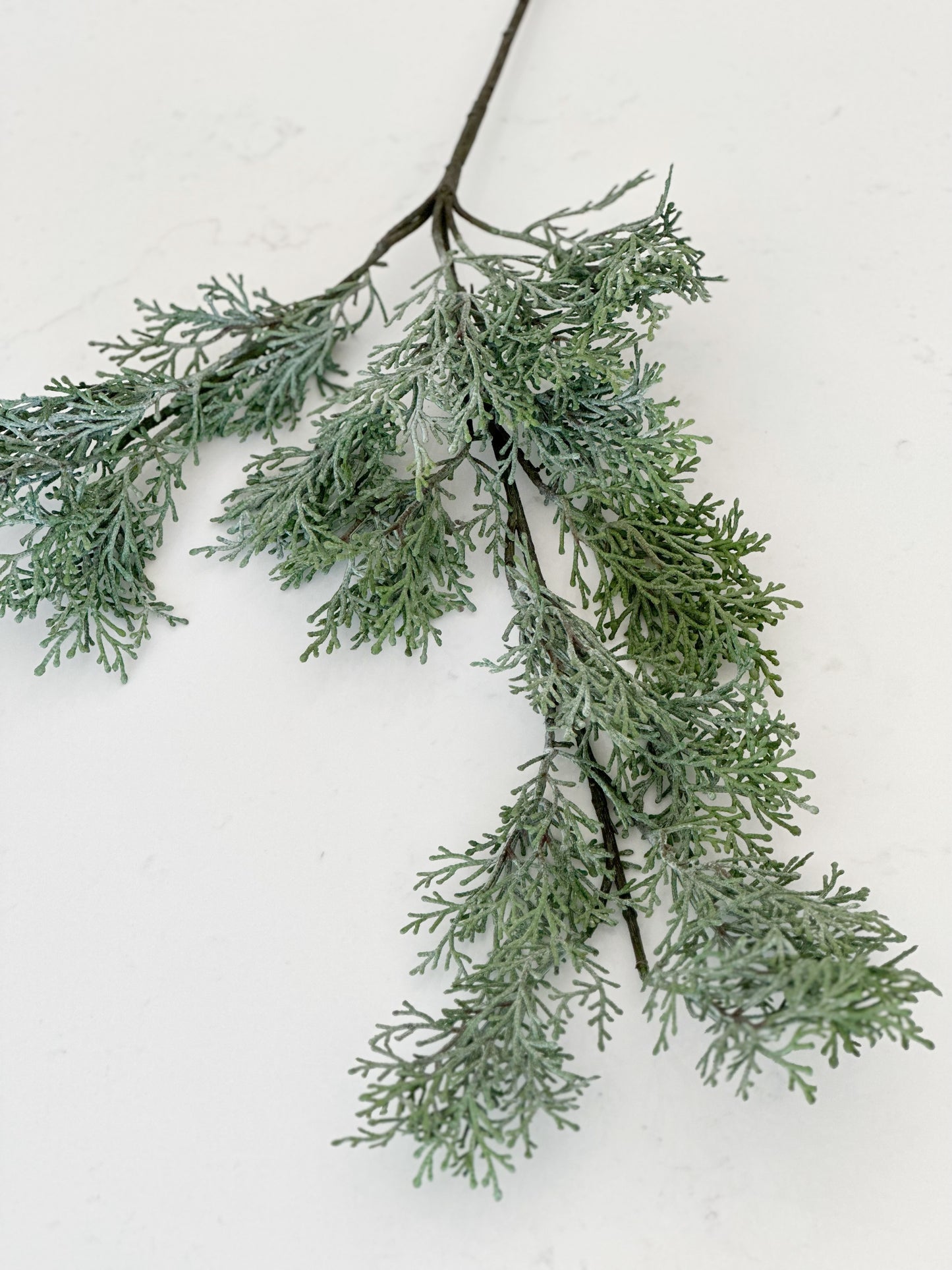 CASCADING CEDAR SPRAY