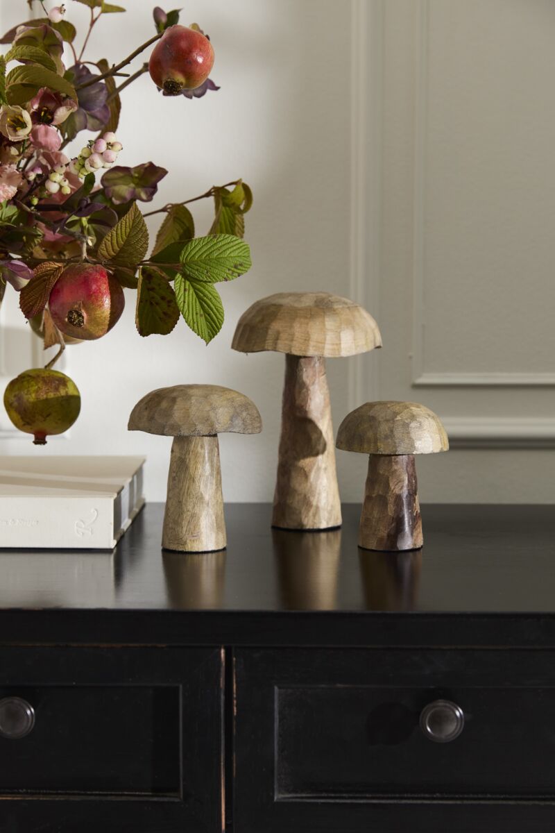 Porcini Mushroom