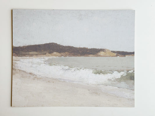 Beach Landscape 20x16 Artisan Board Print
