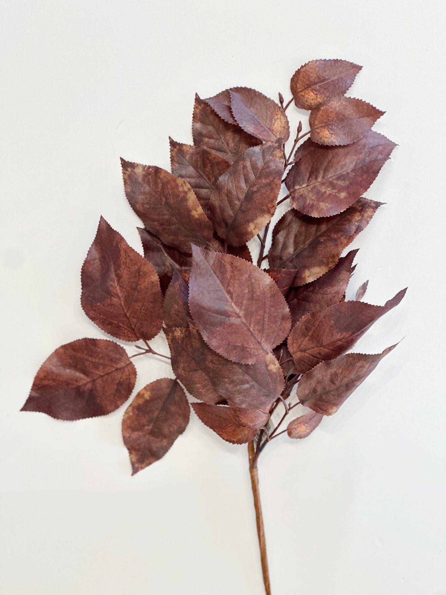 Salal Leaf Spray
