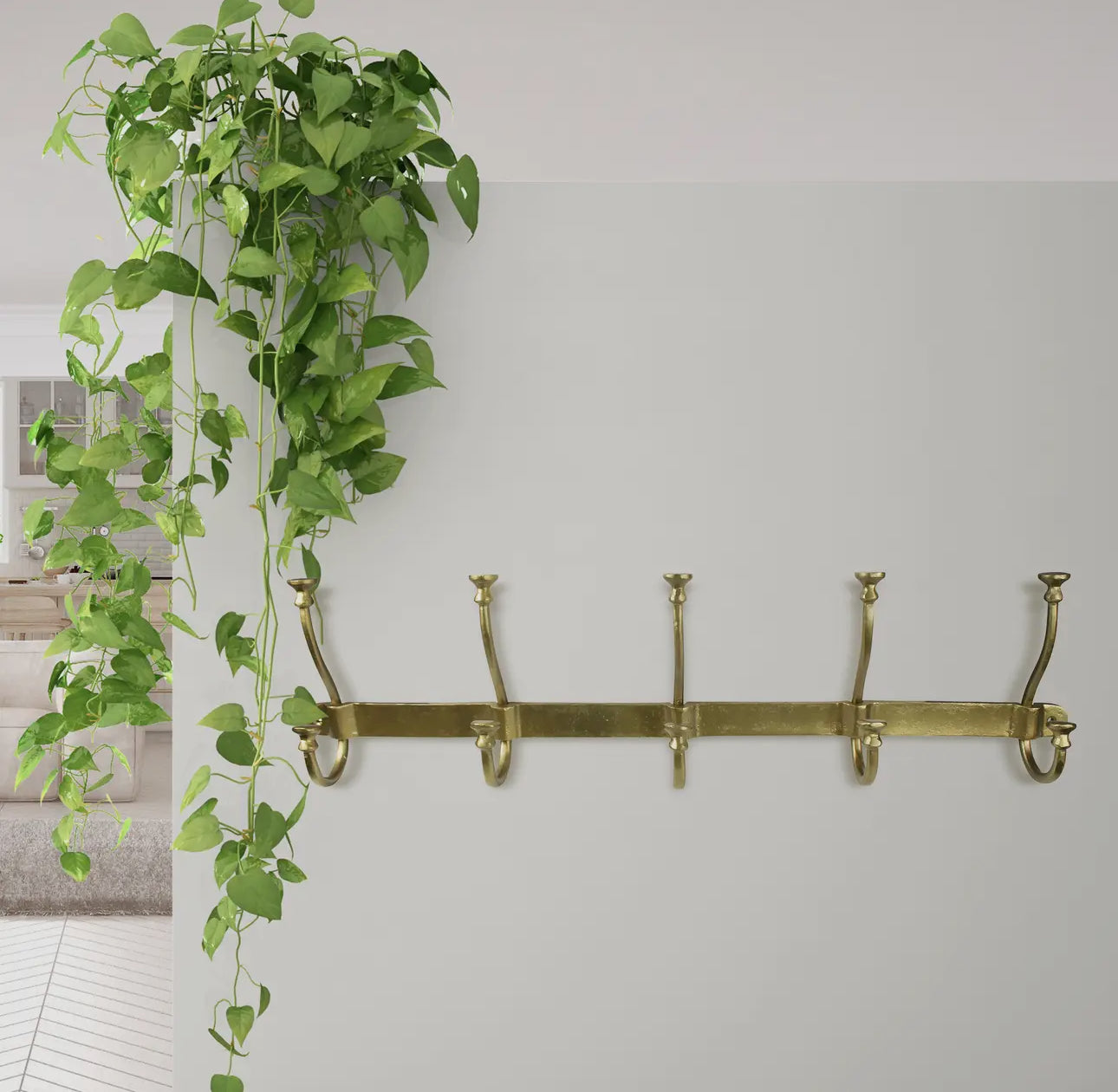 Murphy 5 Hook Rail - Brass