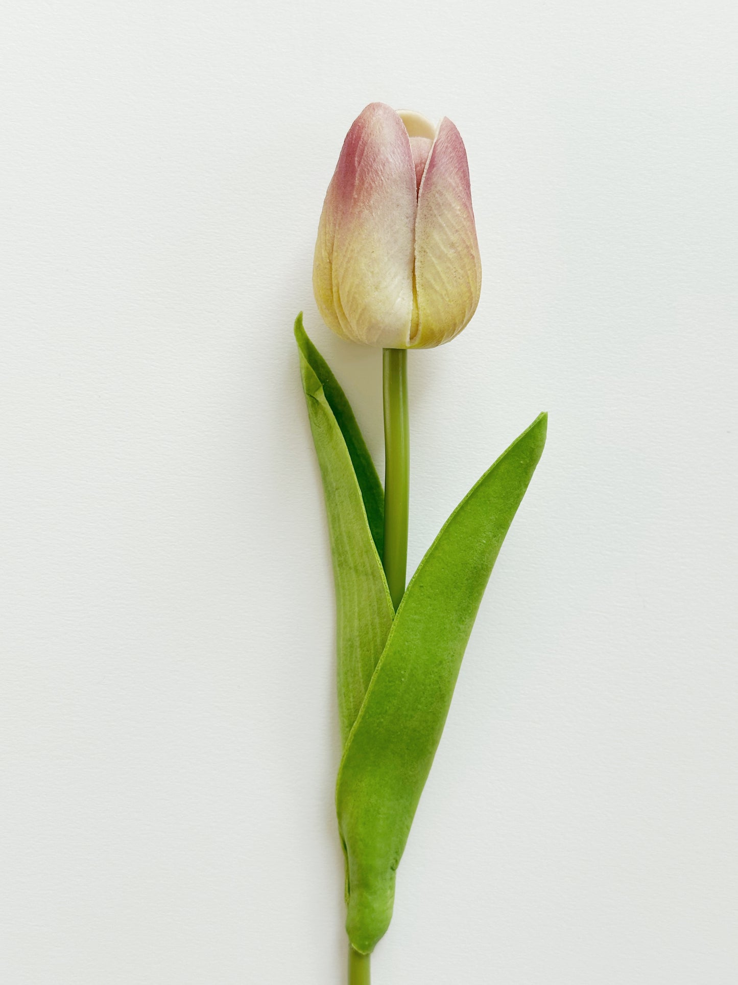 Real Touch Tulips