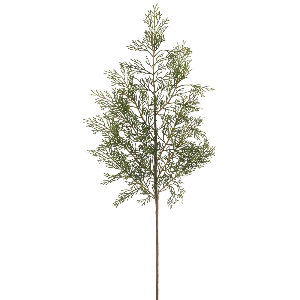Cedar Spray Stem