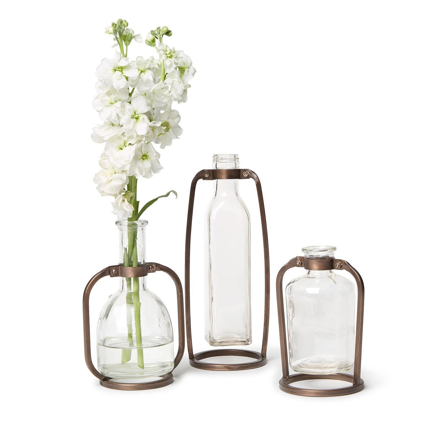 Glass Bottle Vases with Metal Stand