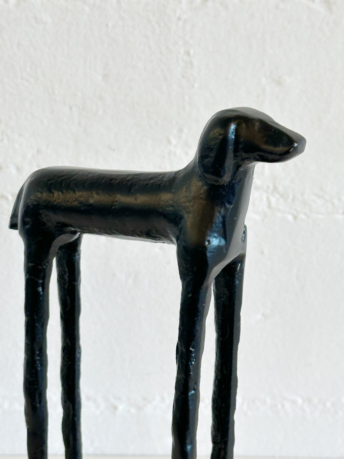 Doggy long legs