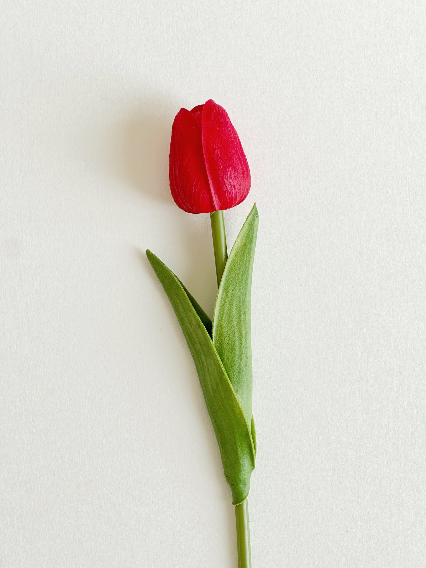 Real Touch Tulips