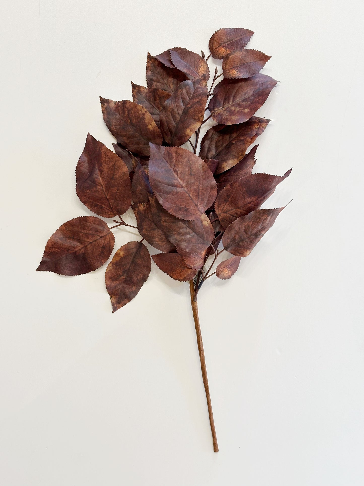 Salal Leaf Spray
