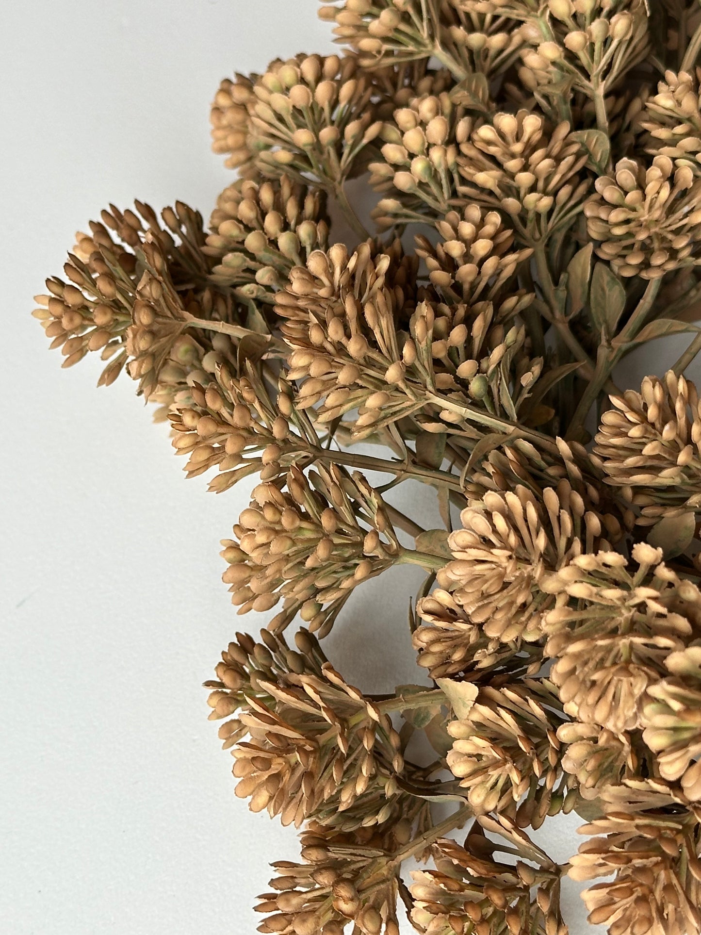 Russet Cone Candle Ring Wreath