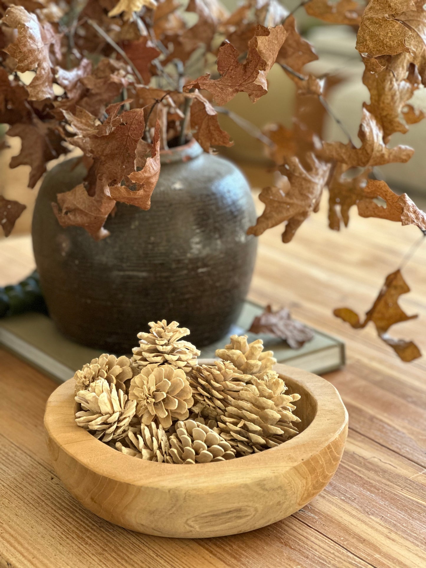 Dried Bleached Pinecones - Filler