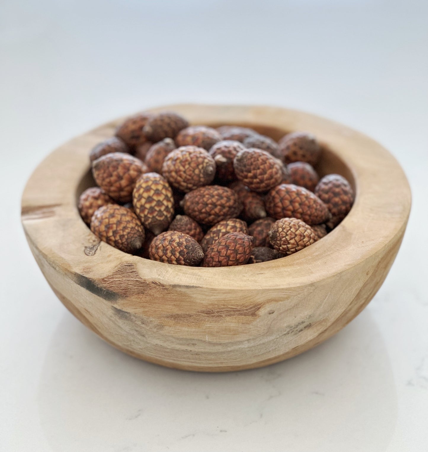 Dried Cone Filler