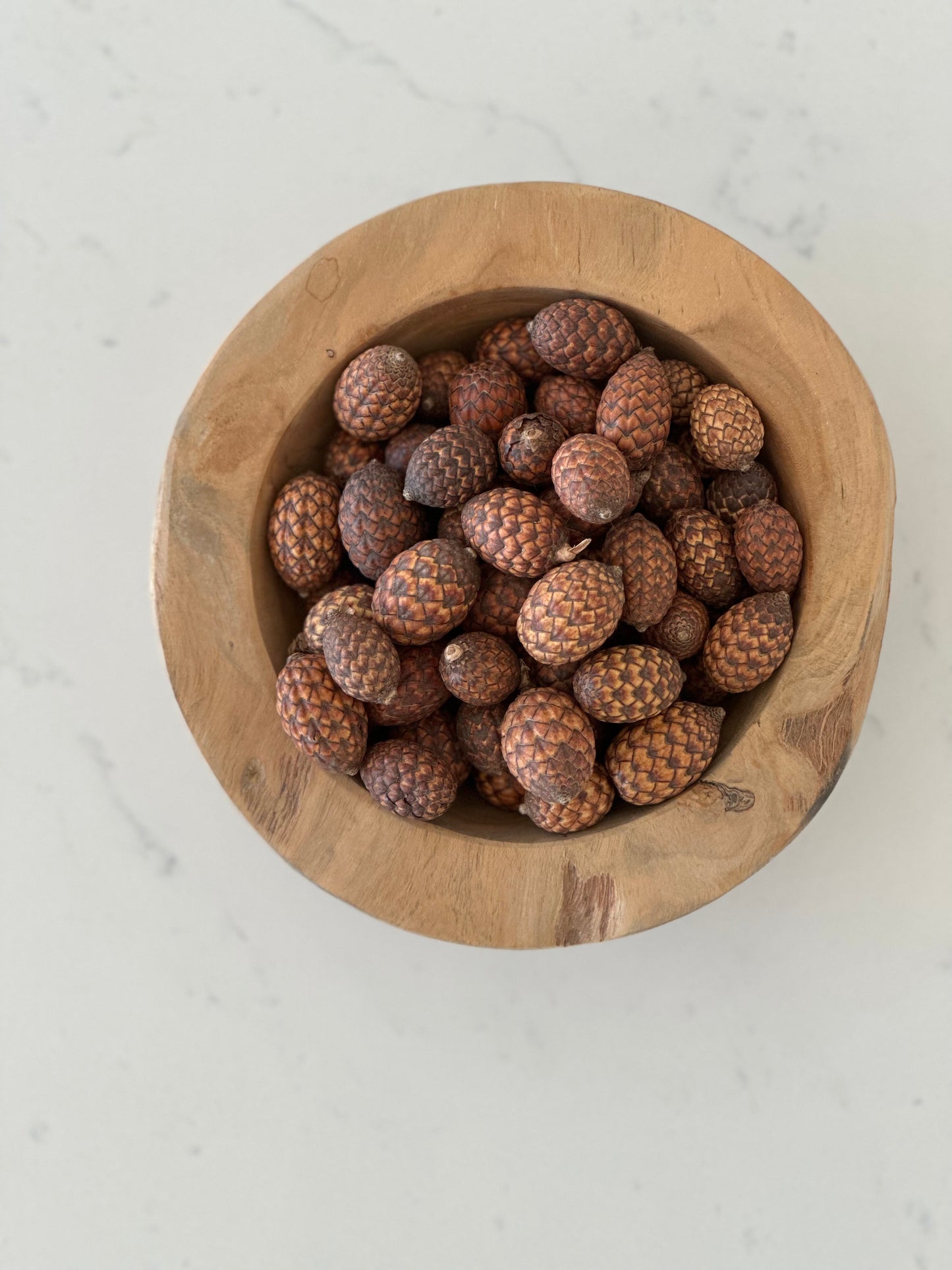 Dried Cone Filler