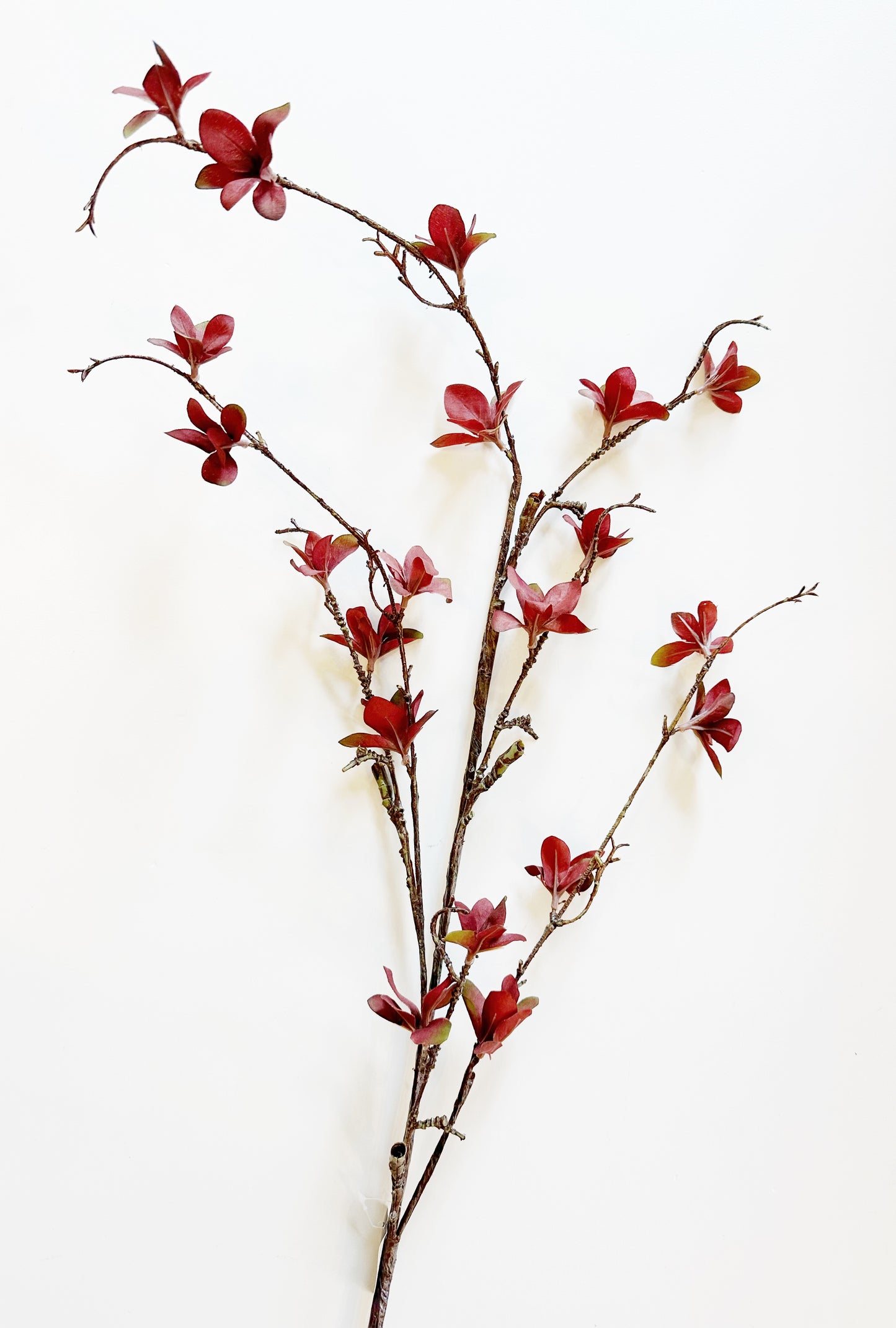 BROWN MAGNOLIA BLOSSOM SPRAY