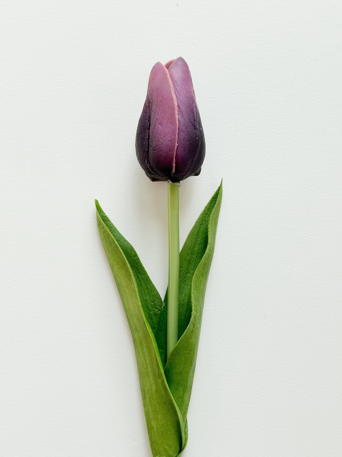 Real Touch Tulips