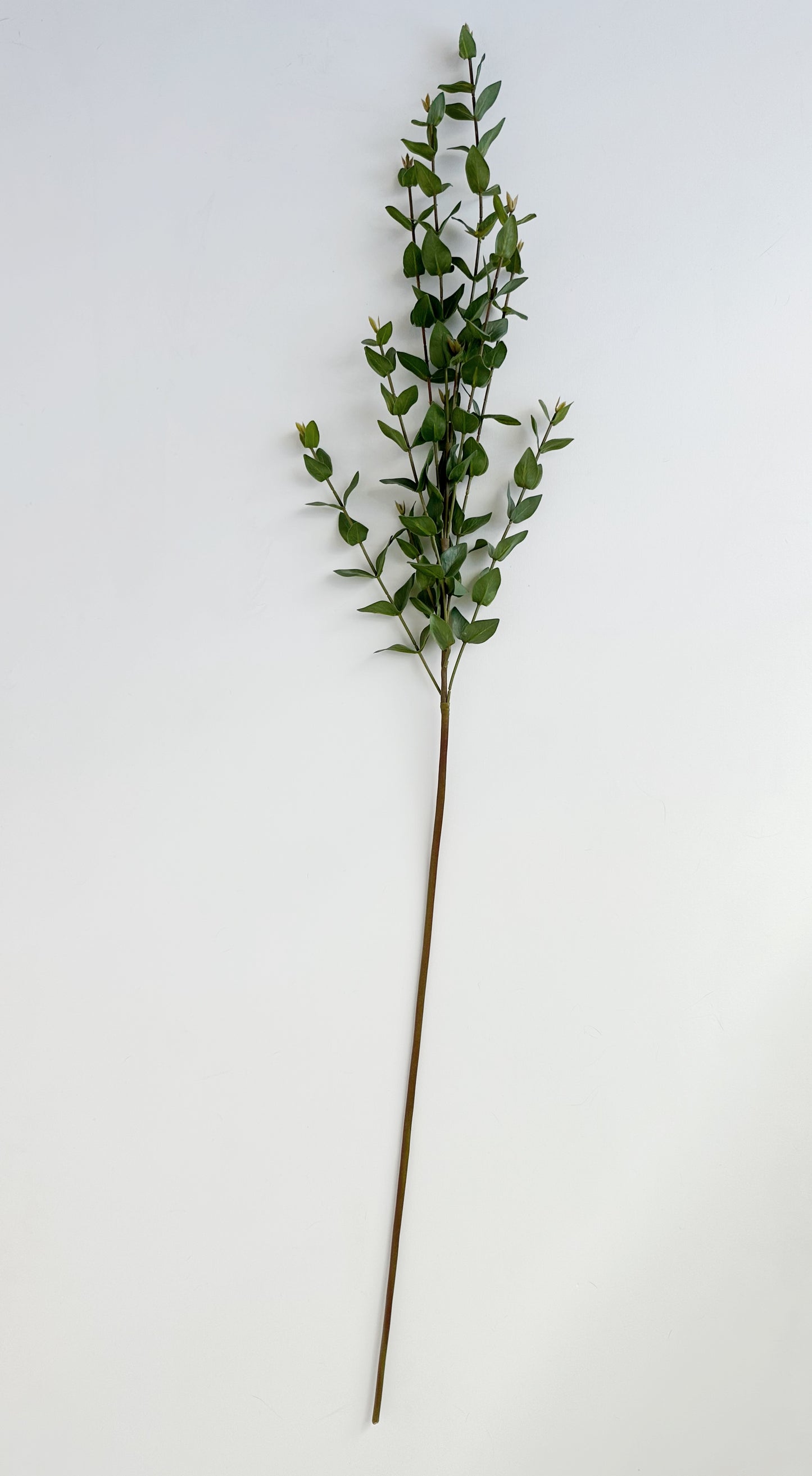 Mini Eucalyptus Spray Stem