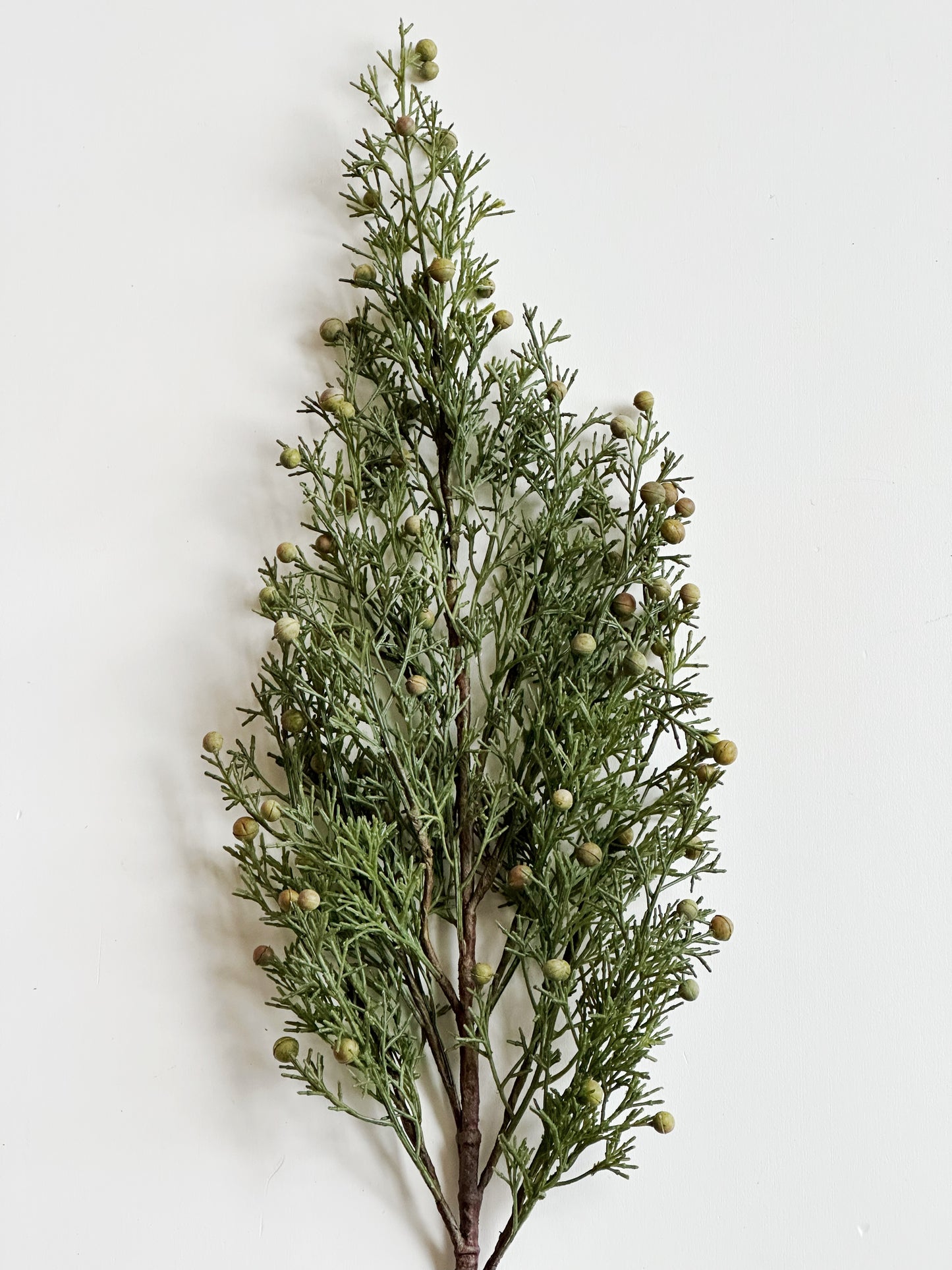 Long Cypress Stem with Berries