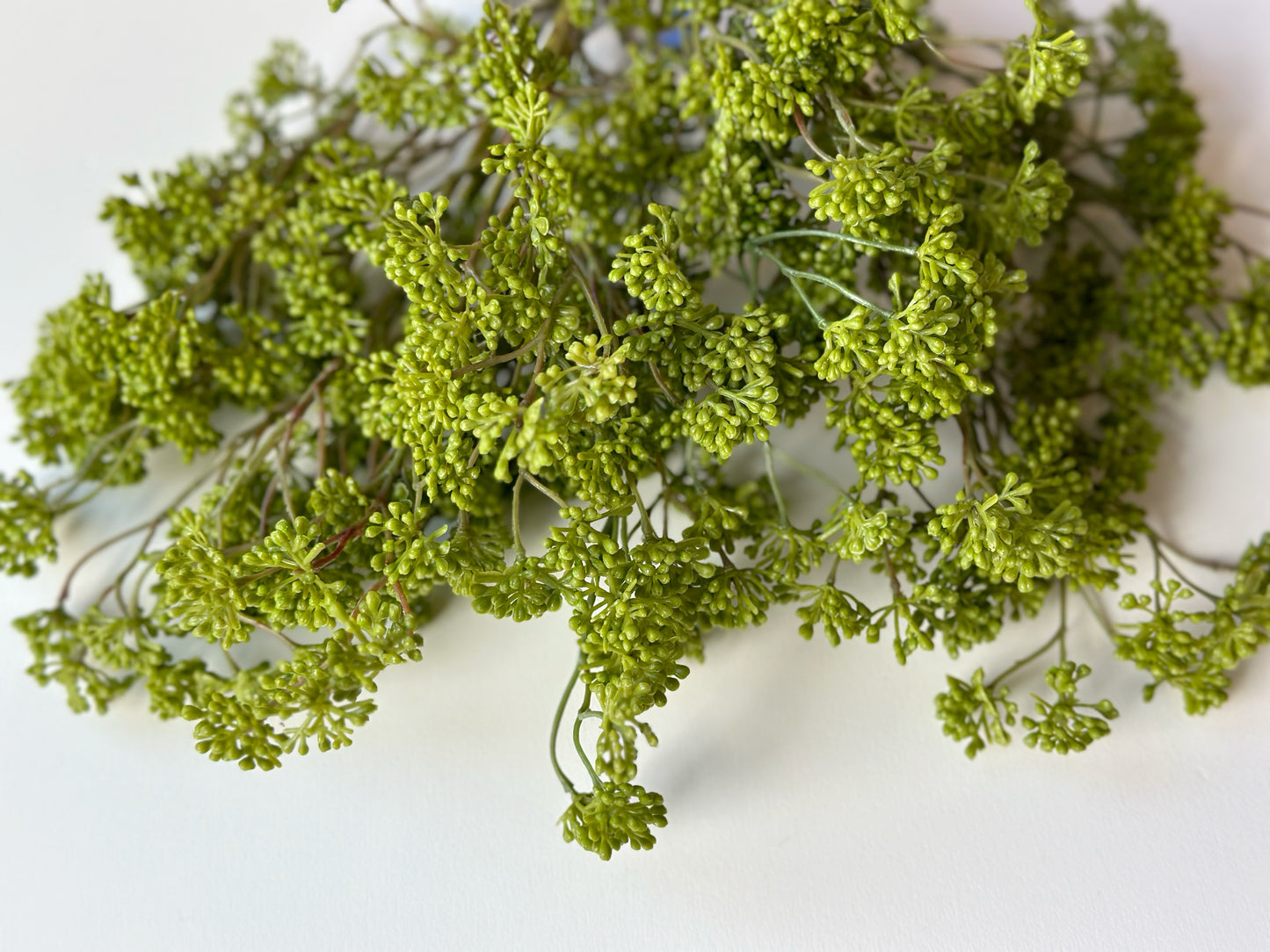 SOFT GREEN SEDUM SPRAY