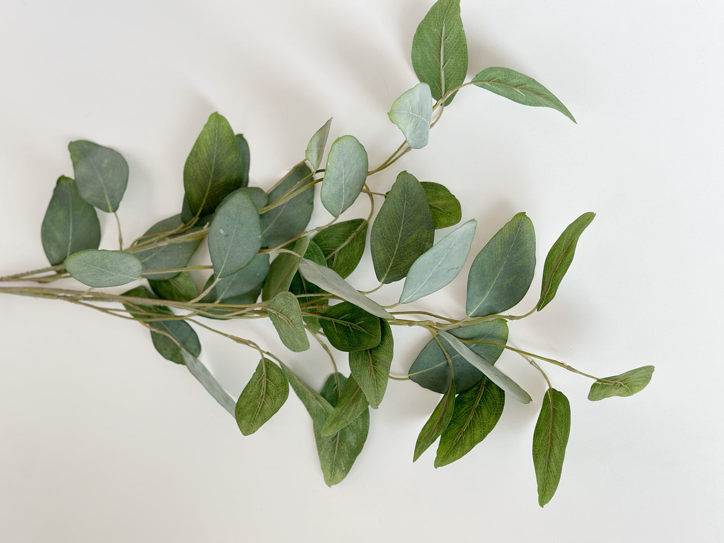 EUCALYPTUS LEAF SPRAY