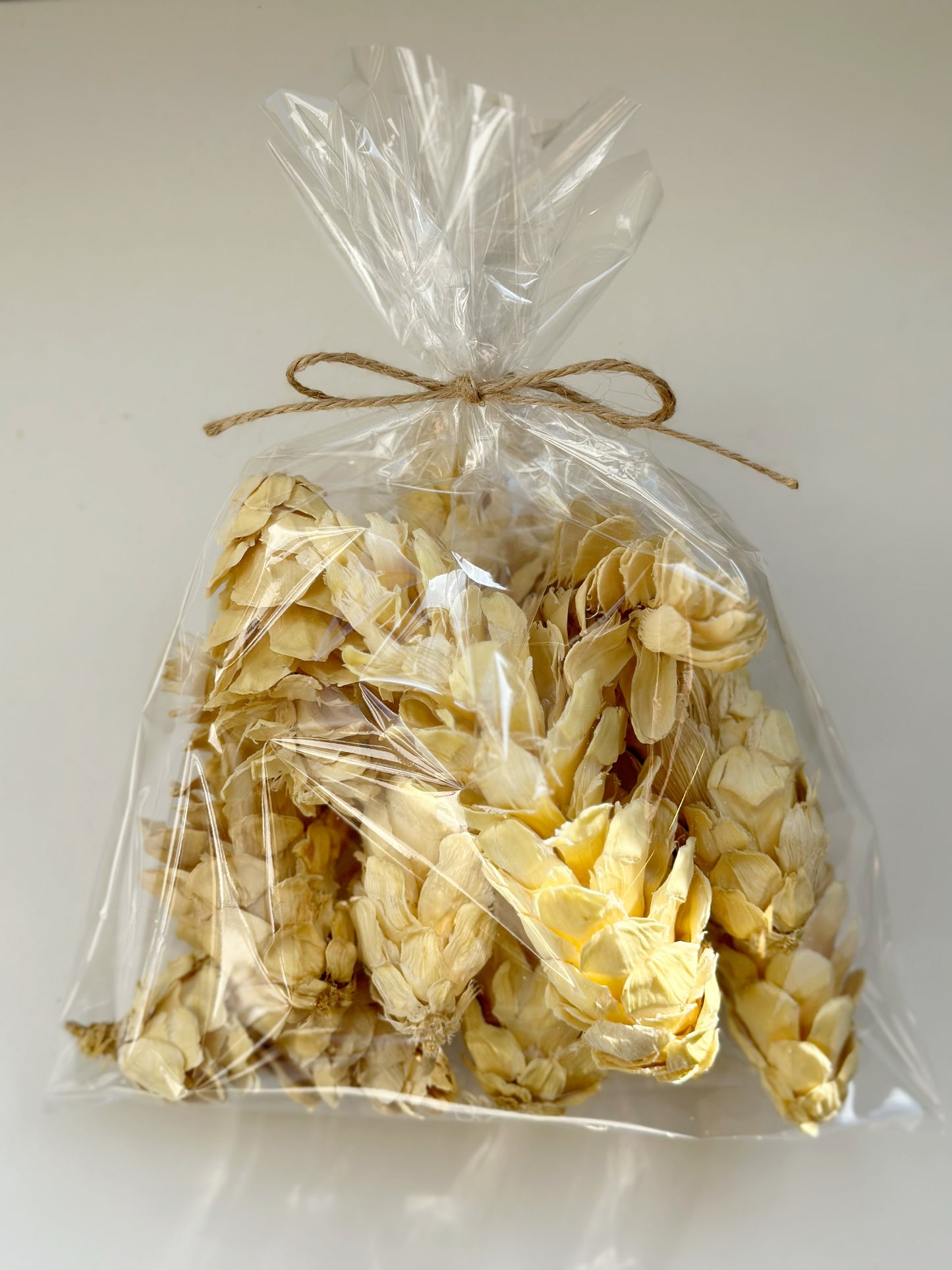 Dried Bleached Strobus Pine Cone Filler