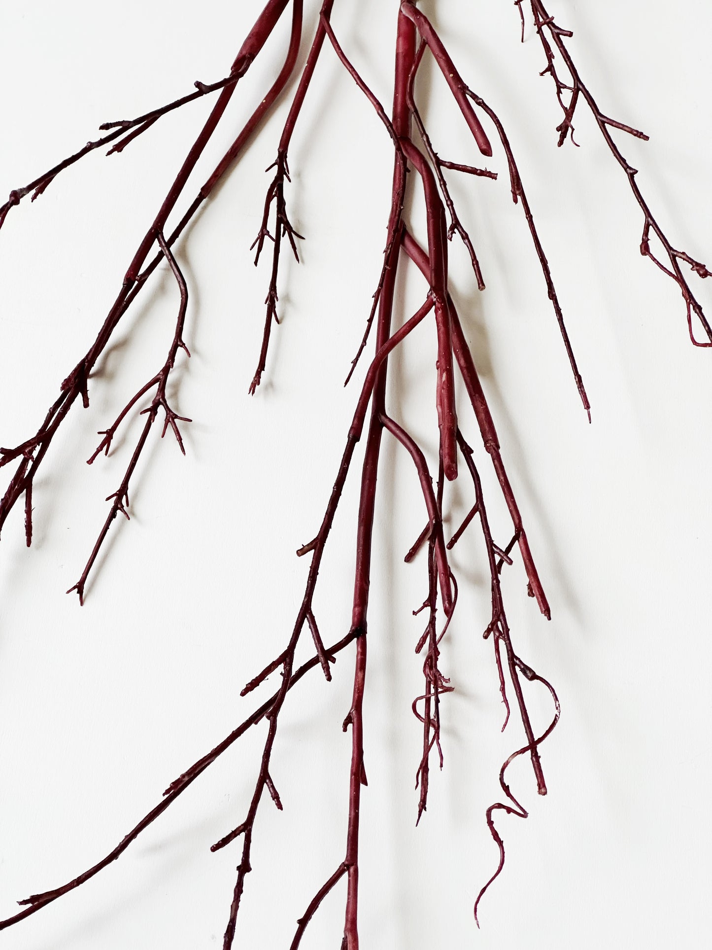 Large Realistic Red Willow Branch
