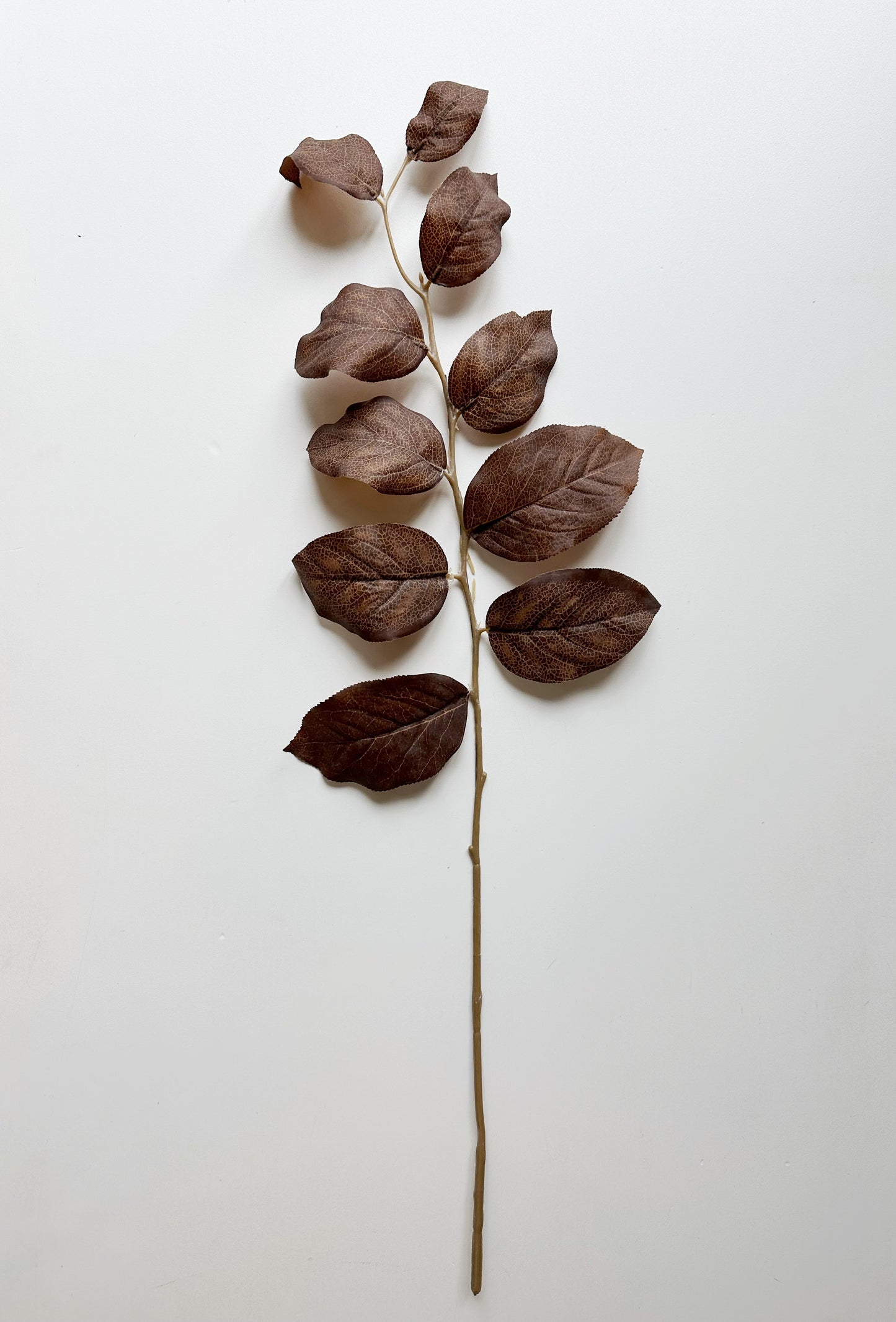 31" LEAF SPRAY