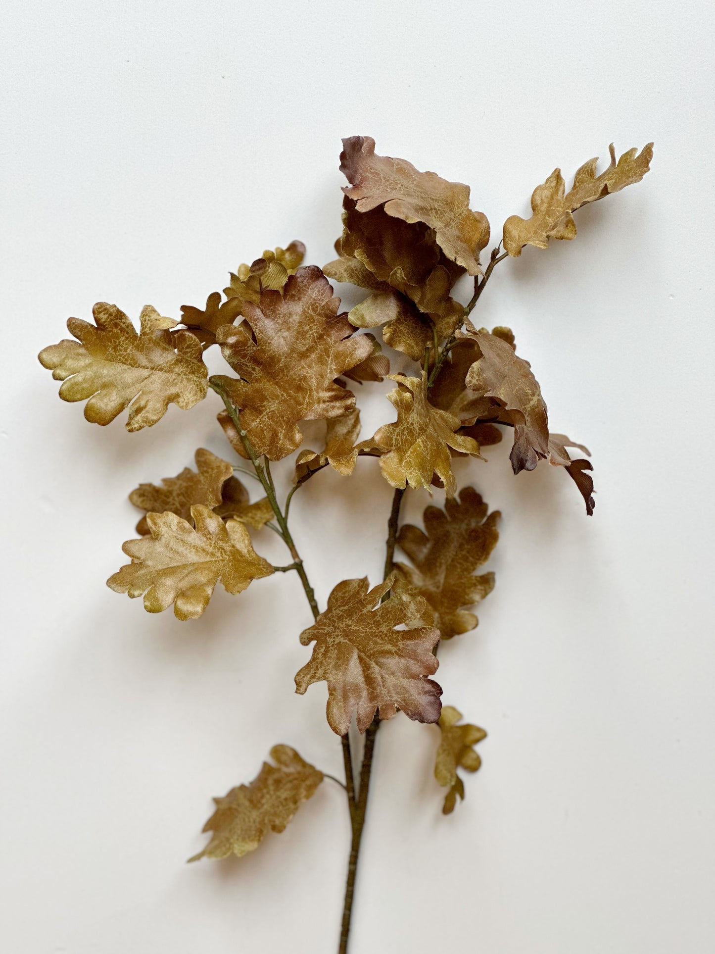 Oak Leaf Stem-Green