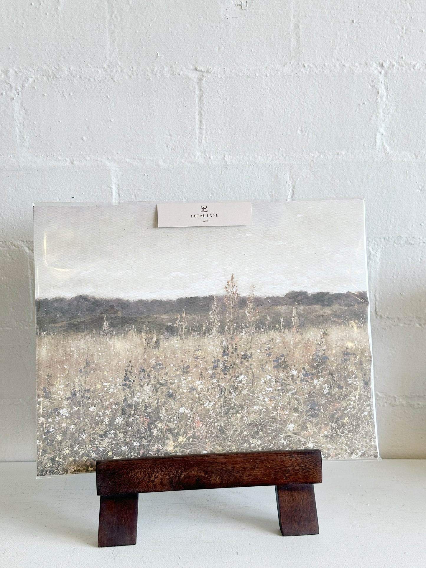 Large Wood Easel