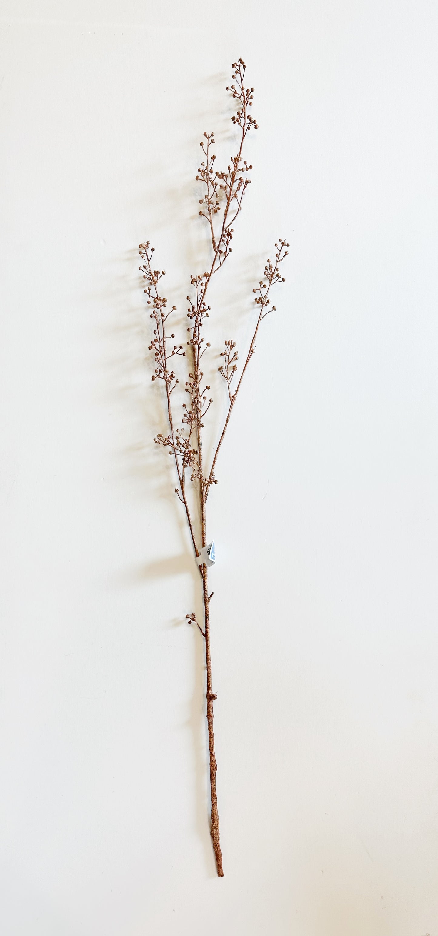 Berry Spray Stem Beige