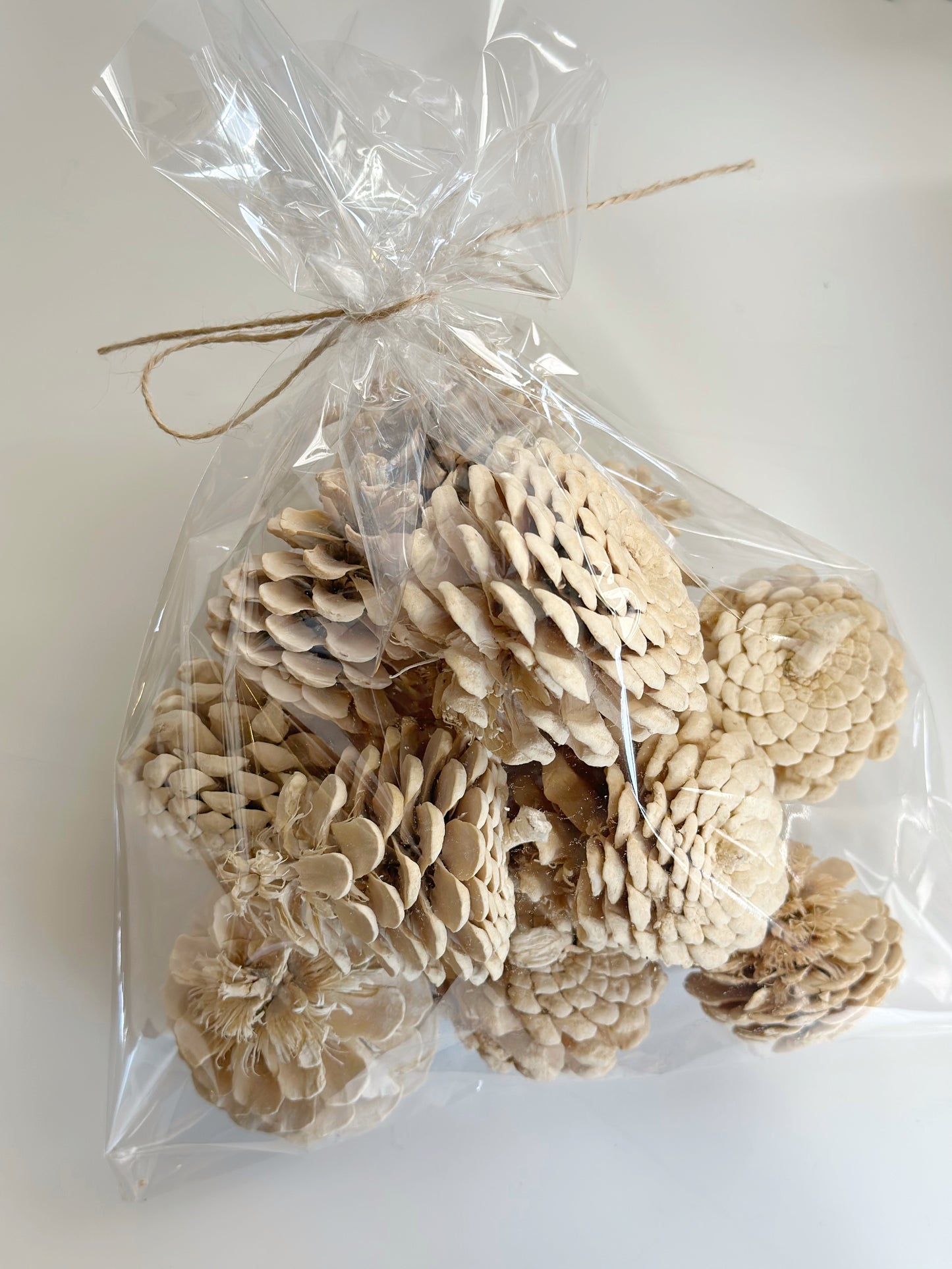 Dried Bleached Pinecones - Filler