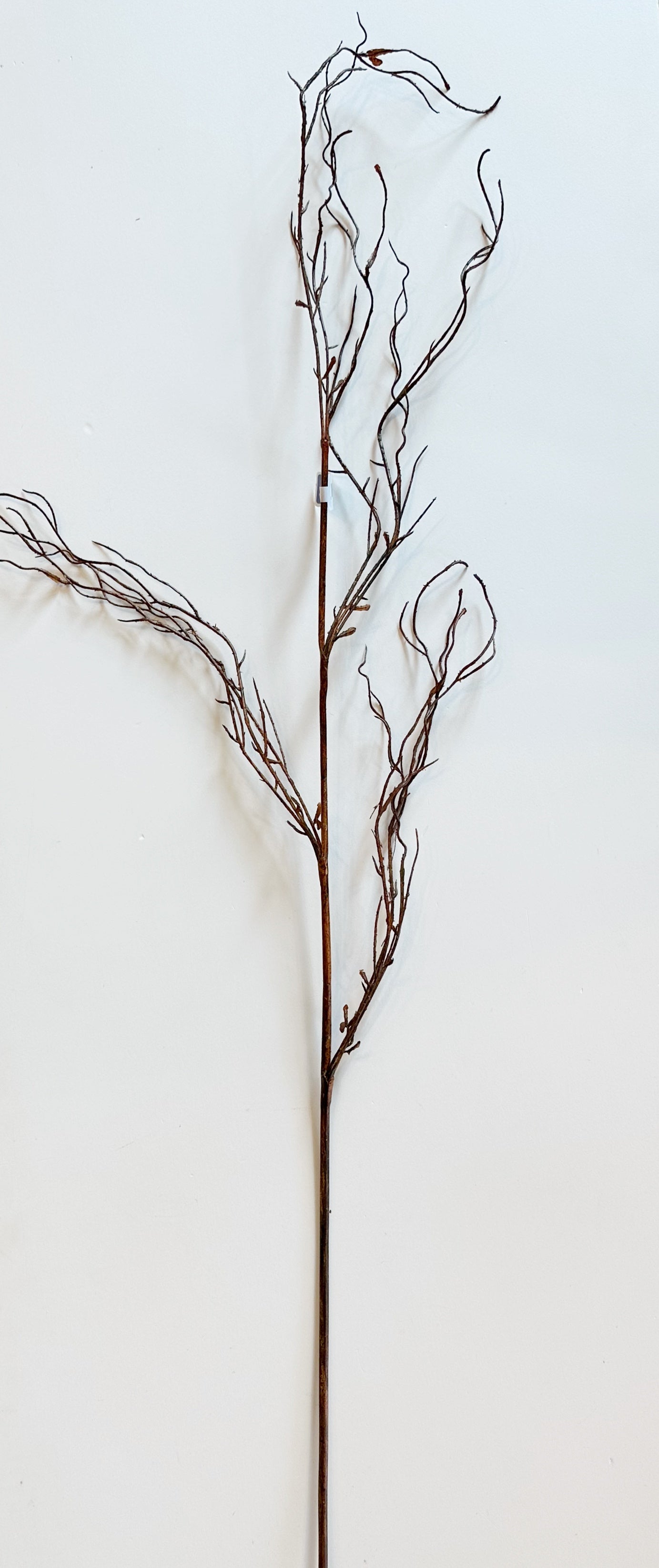 Twig Spray Stem