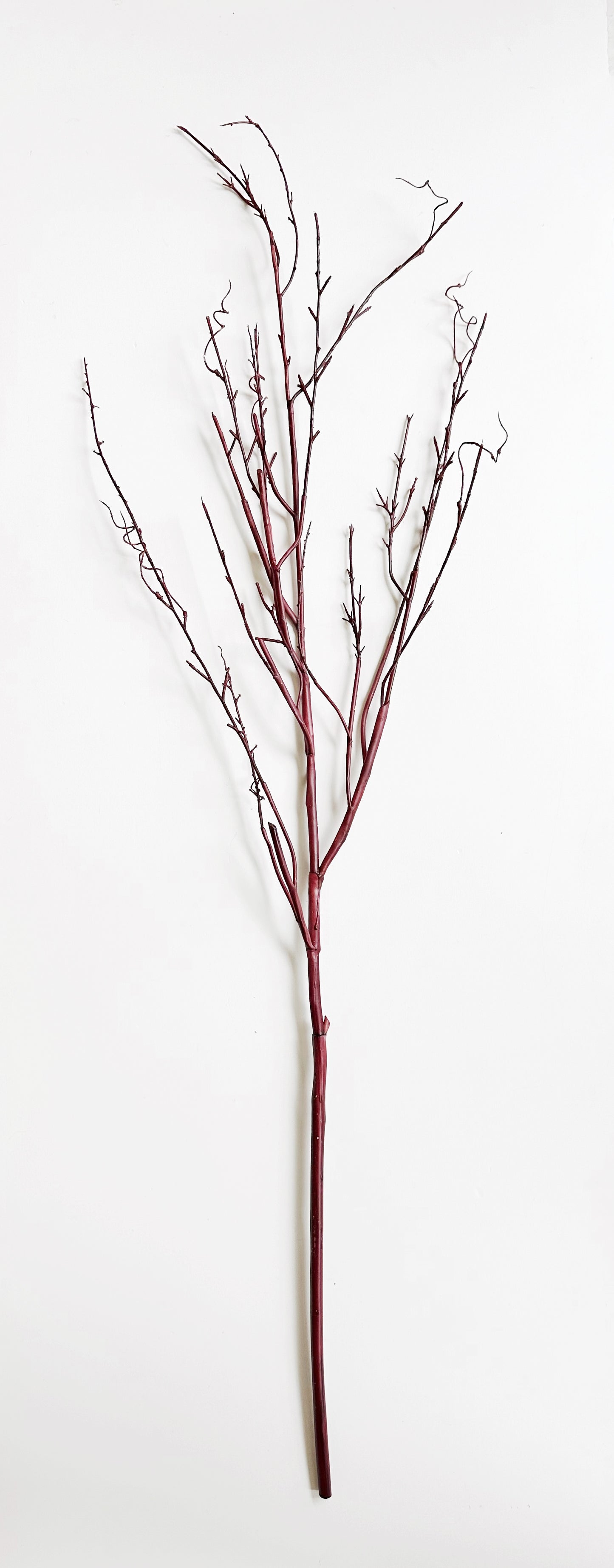 Large Realistic Red Willow Branch