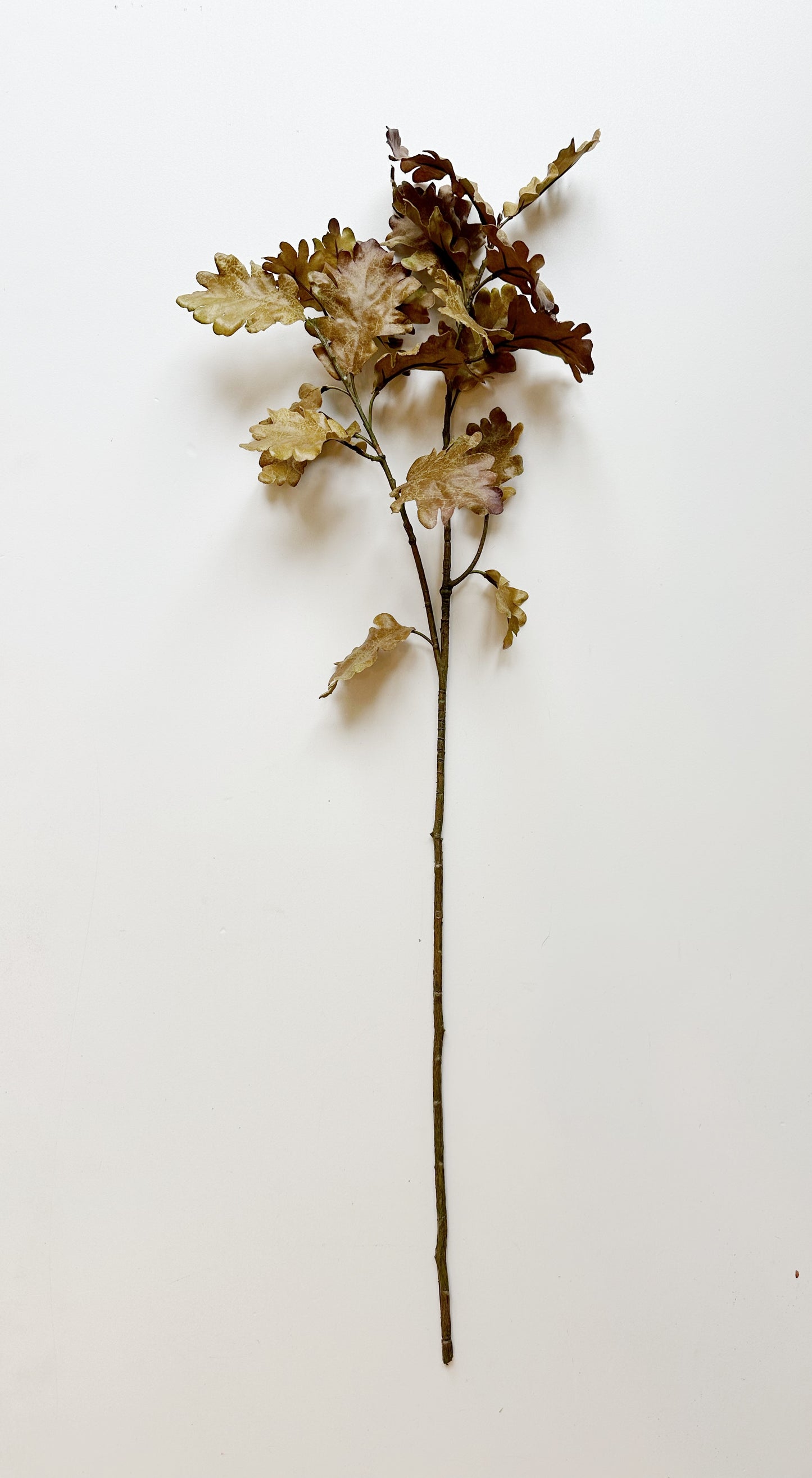 Oak Leaf Stem-Green