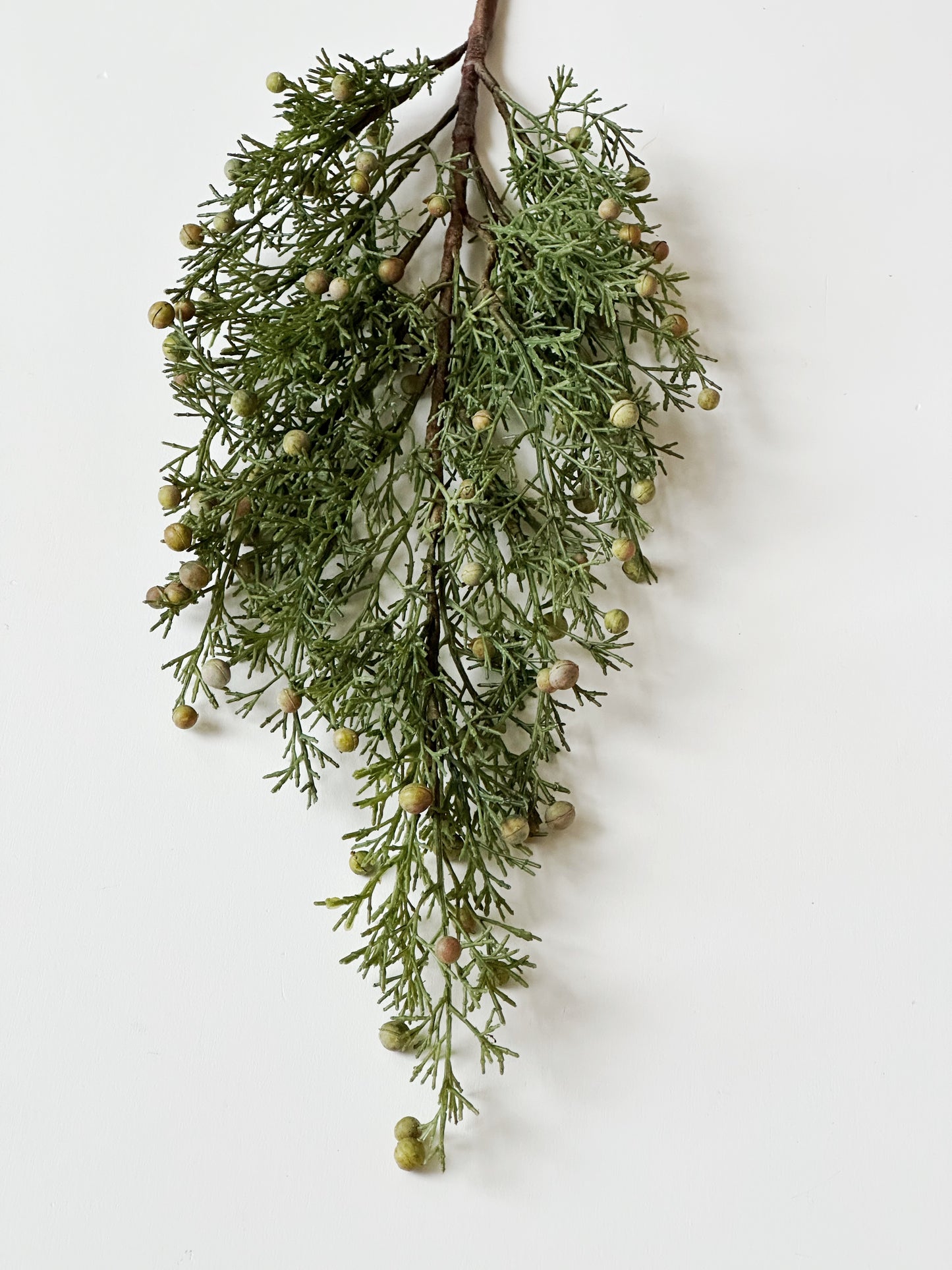 Long Cypress Stem with Berries