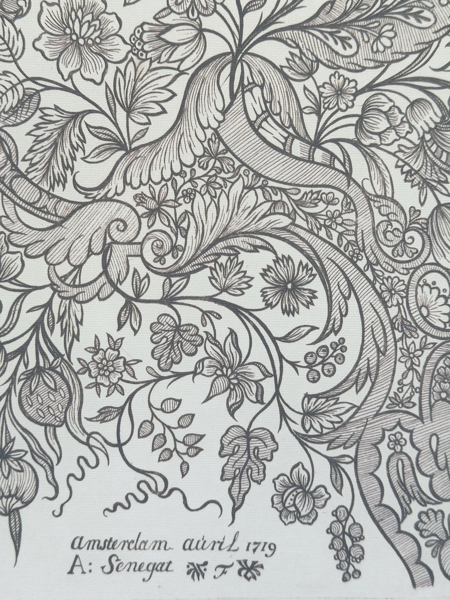 Paisely Sketch 10x14 Framed Print