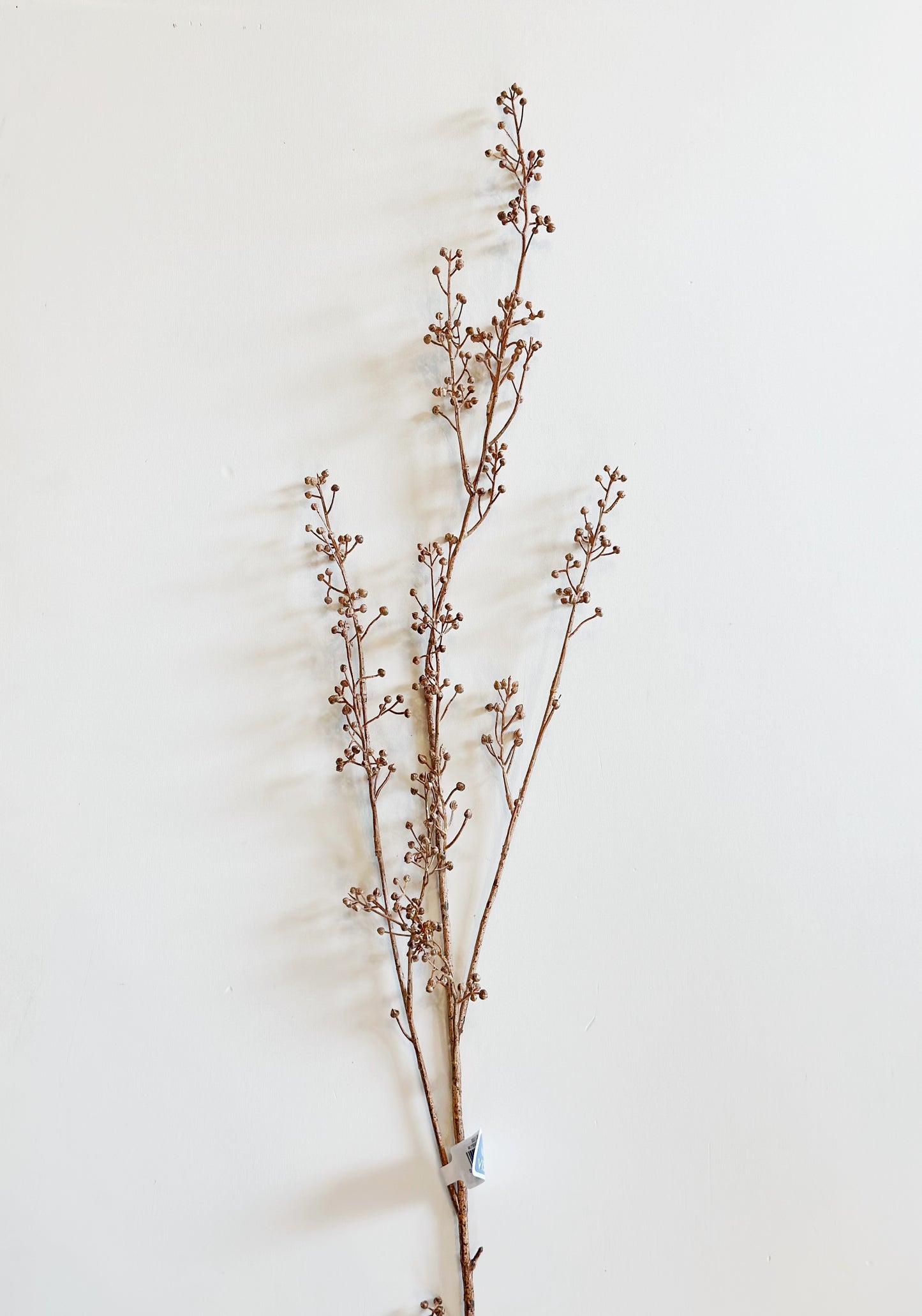 Berry Spray Stem Beige