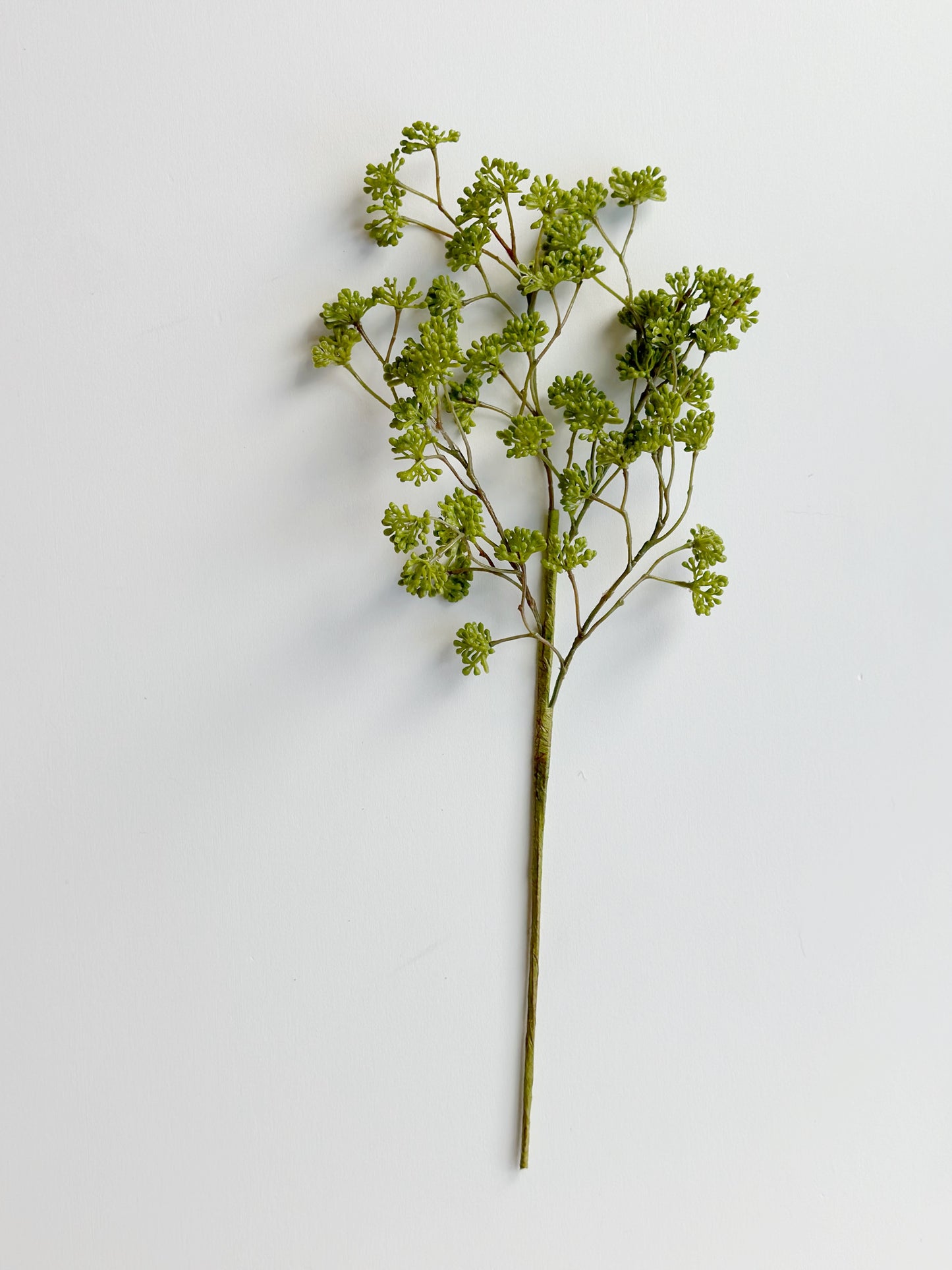 SOFT GREEN SEDUM SPRAY