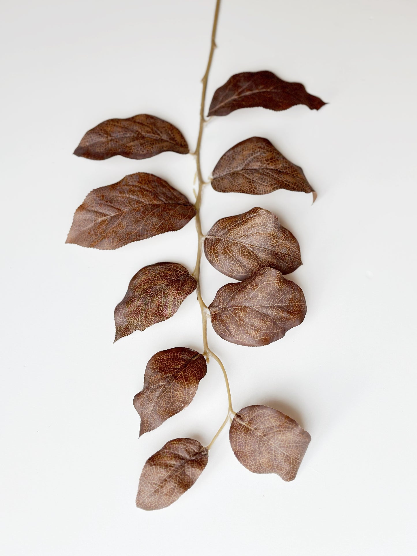 31" LEAF SPRAY