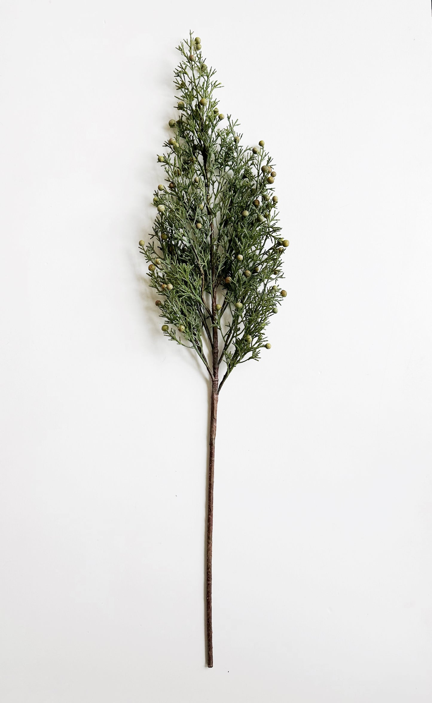 Long Cypress Stem with Berries