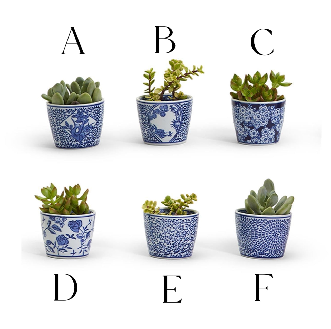 Canton Collection Cachepot