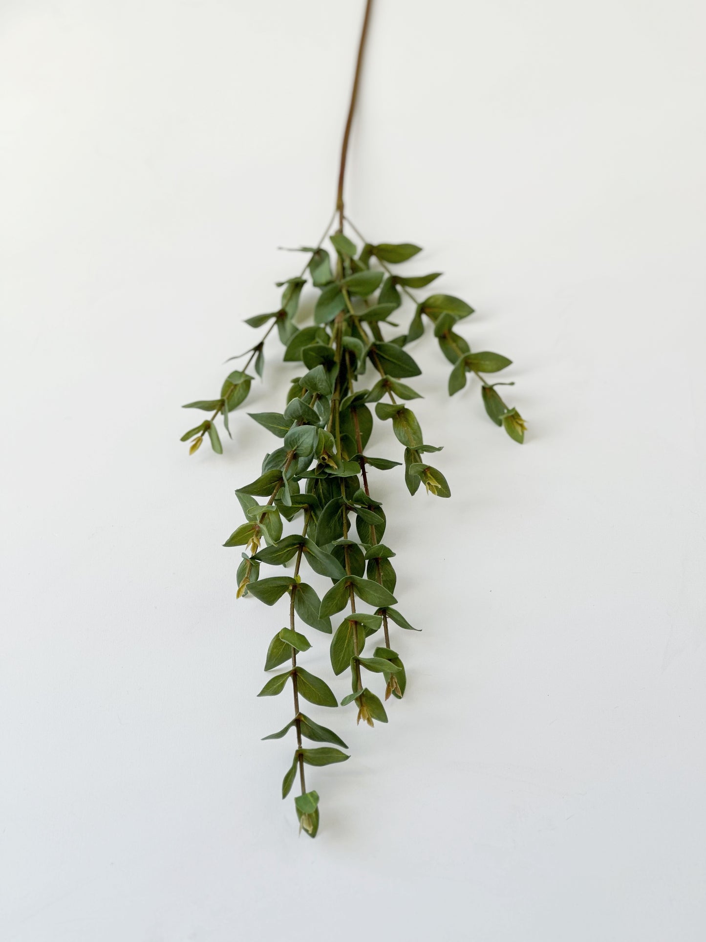 Mini Eucalyptus Spray Stem