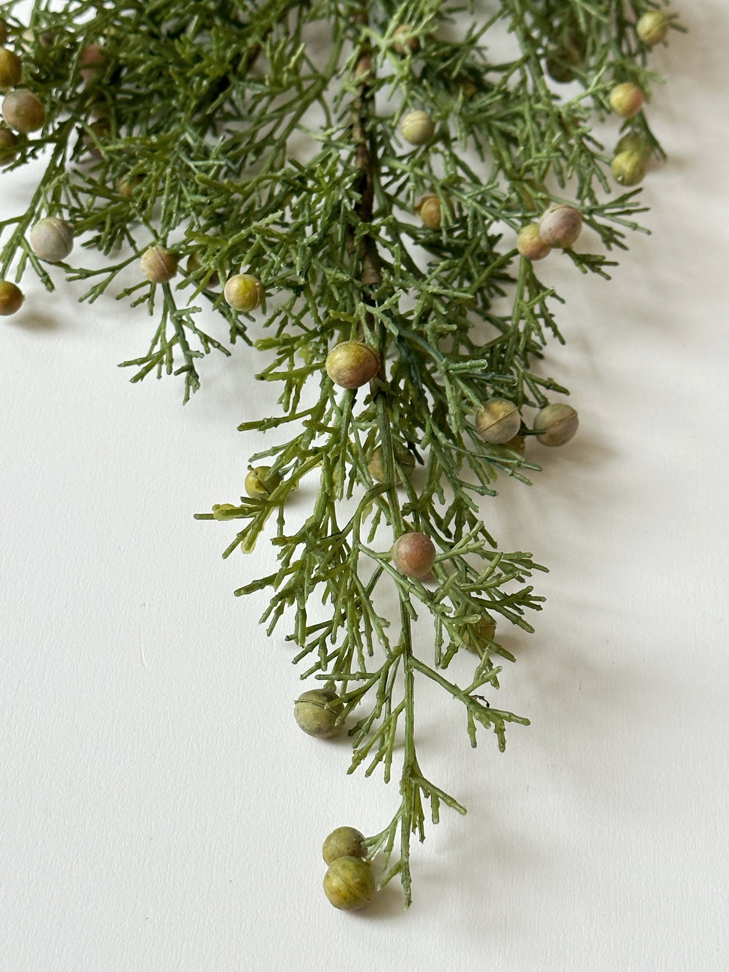 Long Cypress Stem with Berries