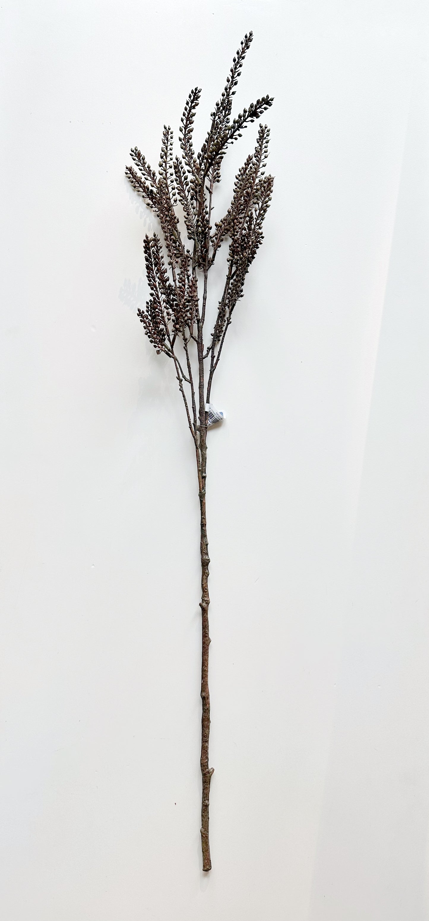 Bud Spray Brown