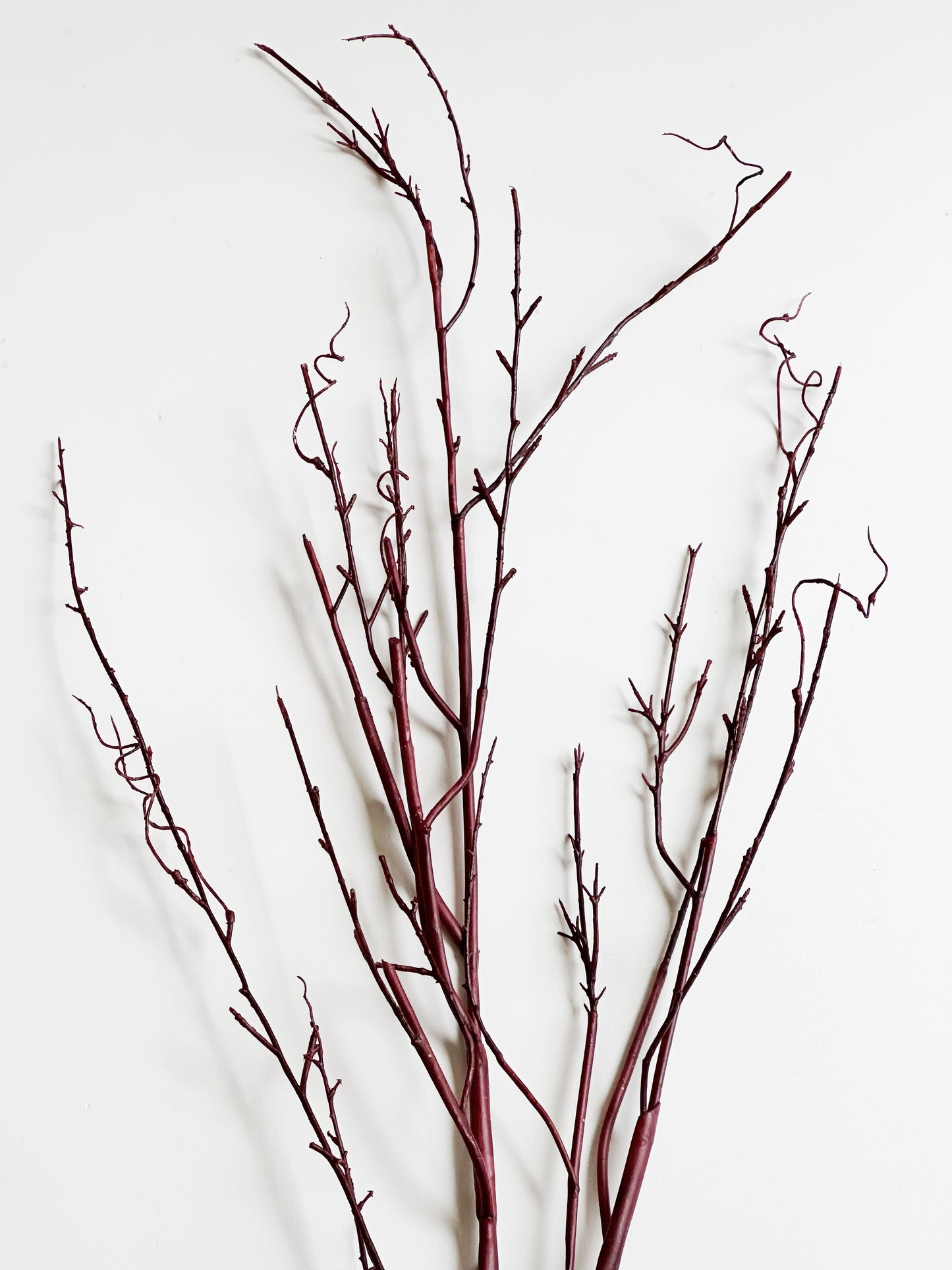 Large Realistic Red Willow Branch