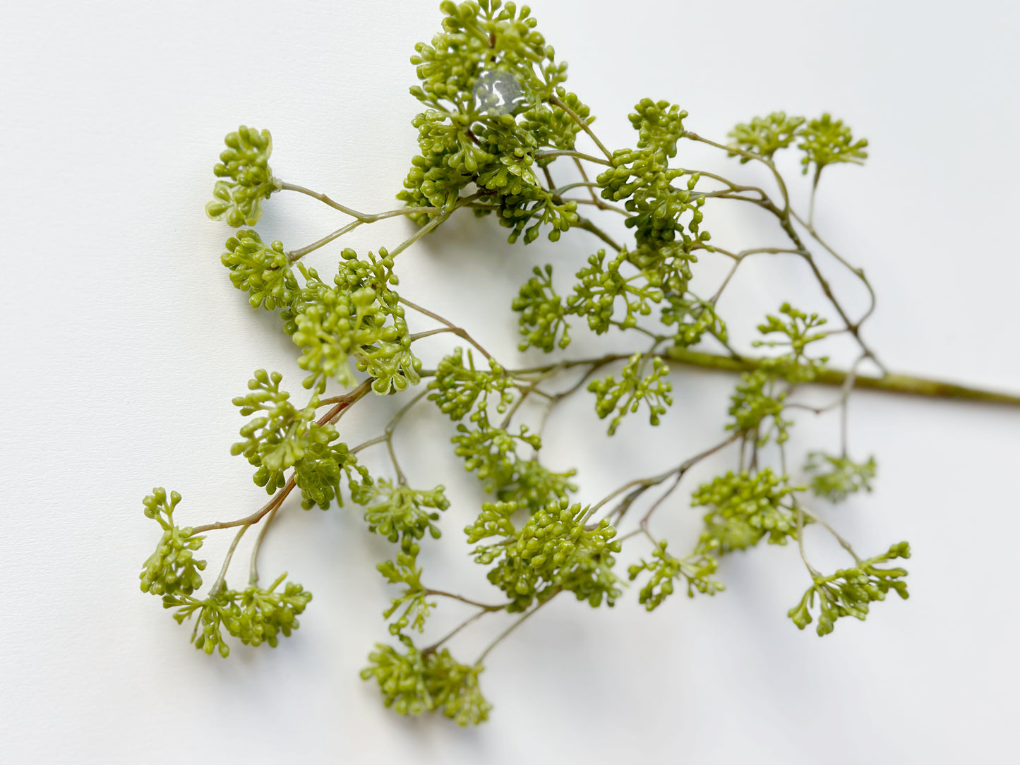 SOFT GREEN SEDUM SPRAY