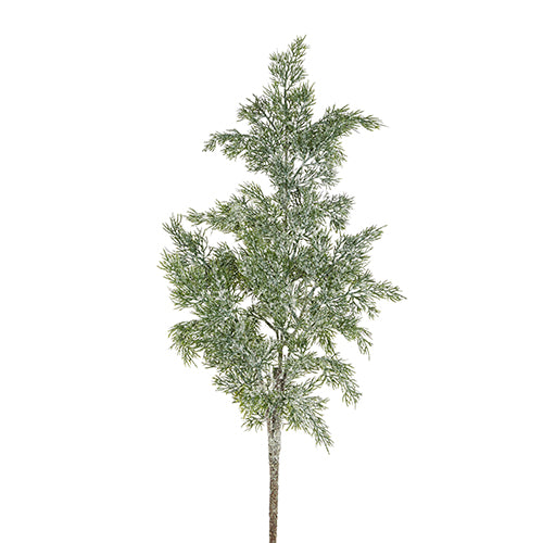 SNOWY CYPRESS SPRAY