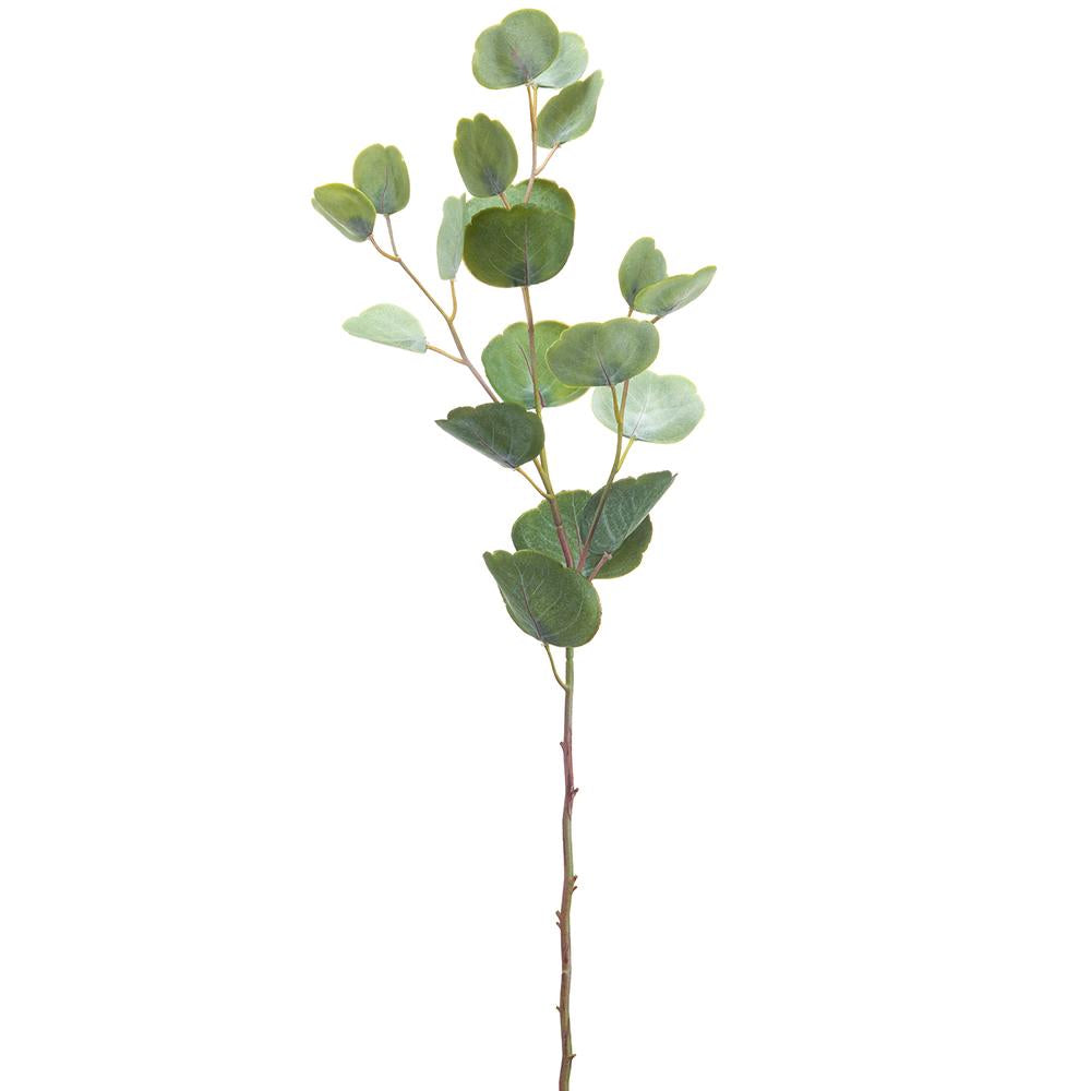 Cotinus Leaf Spray Green