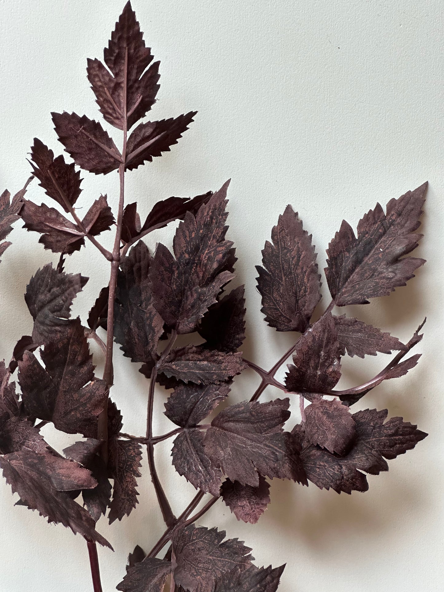 Leaf Spray Plum