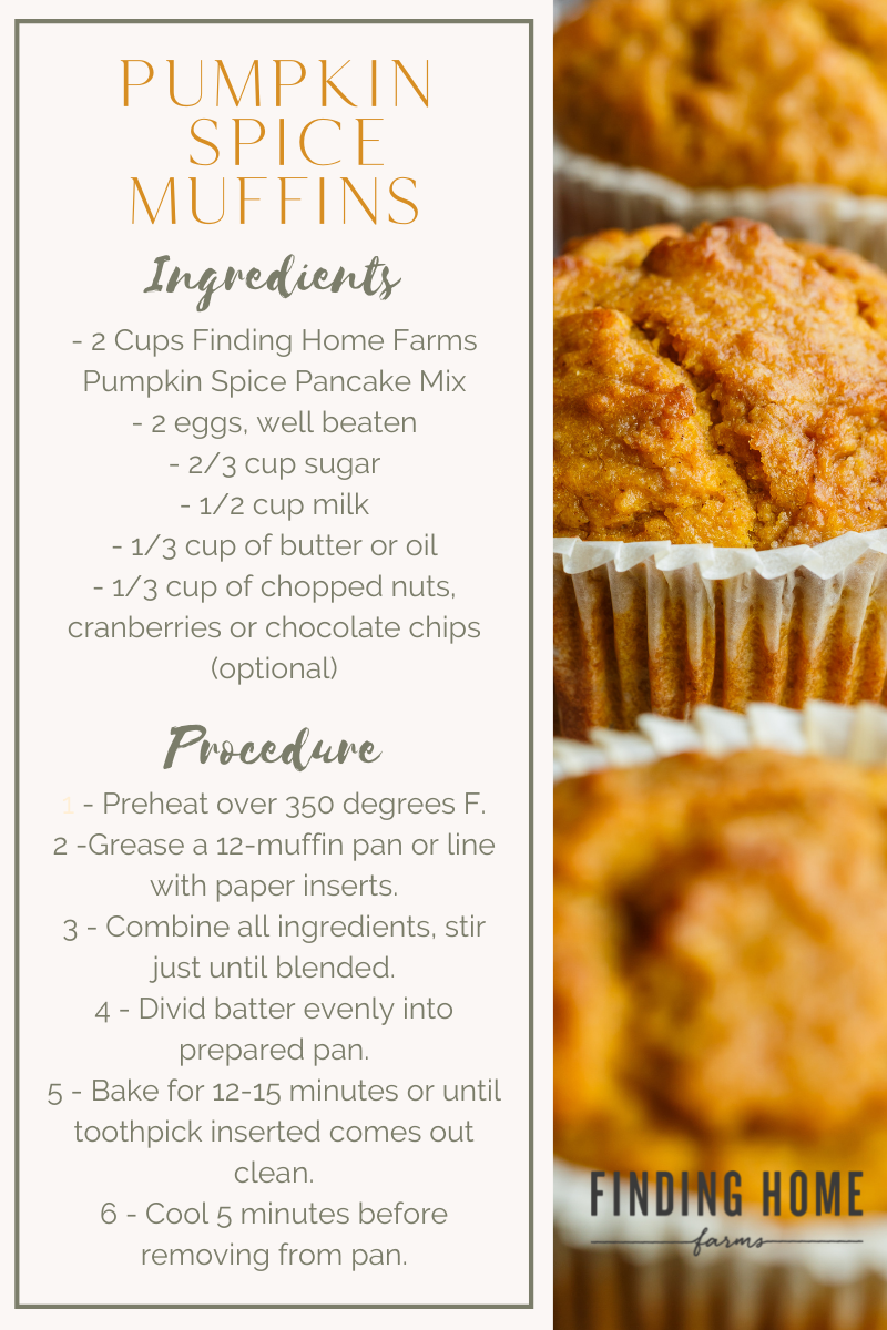 Pumpkin Spice Pancake & Waffle Mix