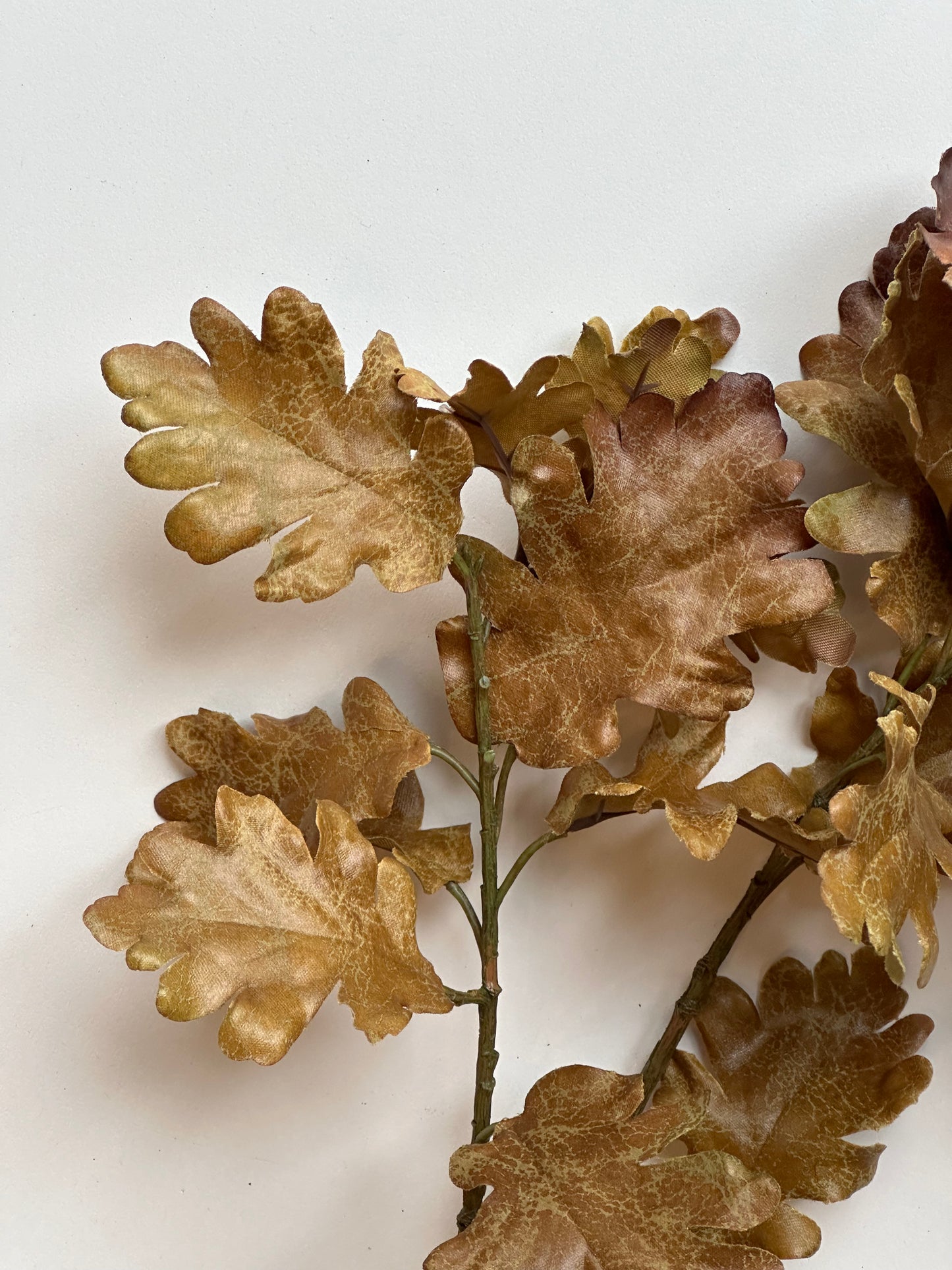 Oak Leaf Stem-Green